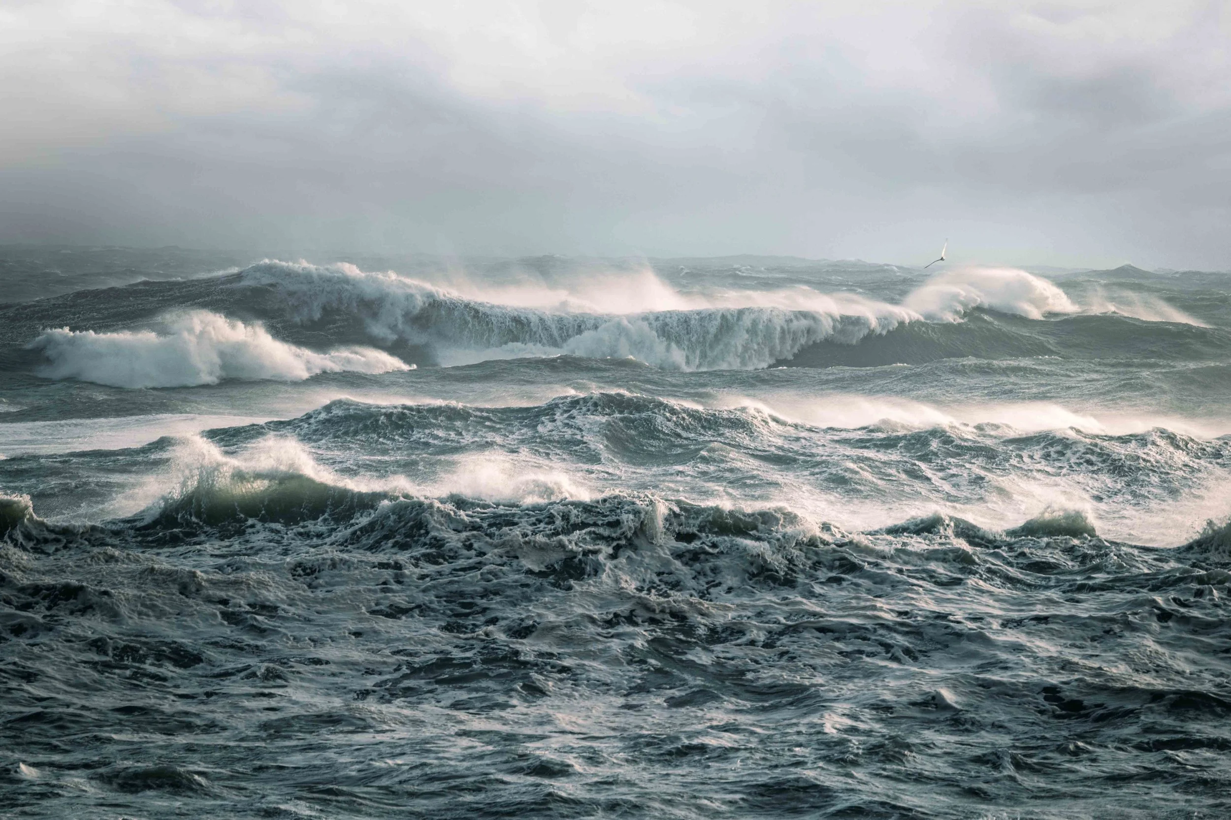 Michel Colaci Photography Surge-3.jpg