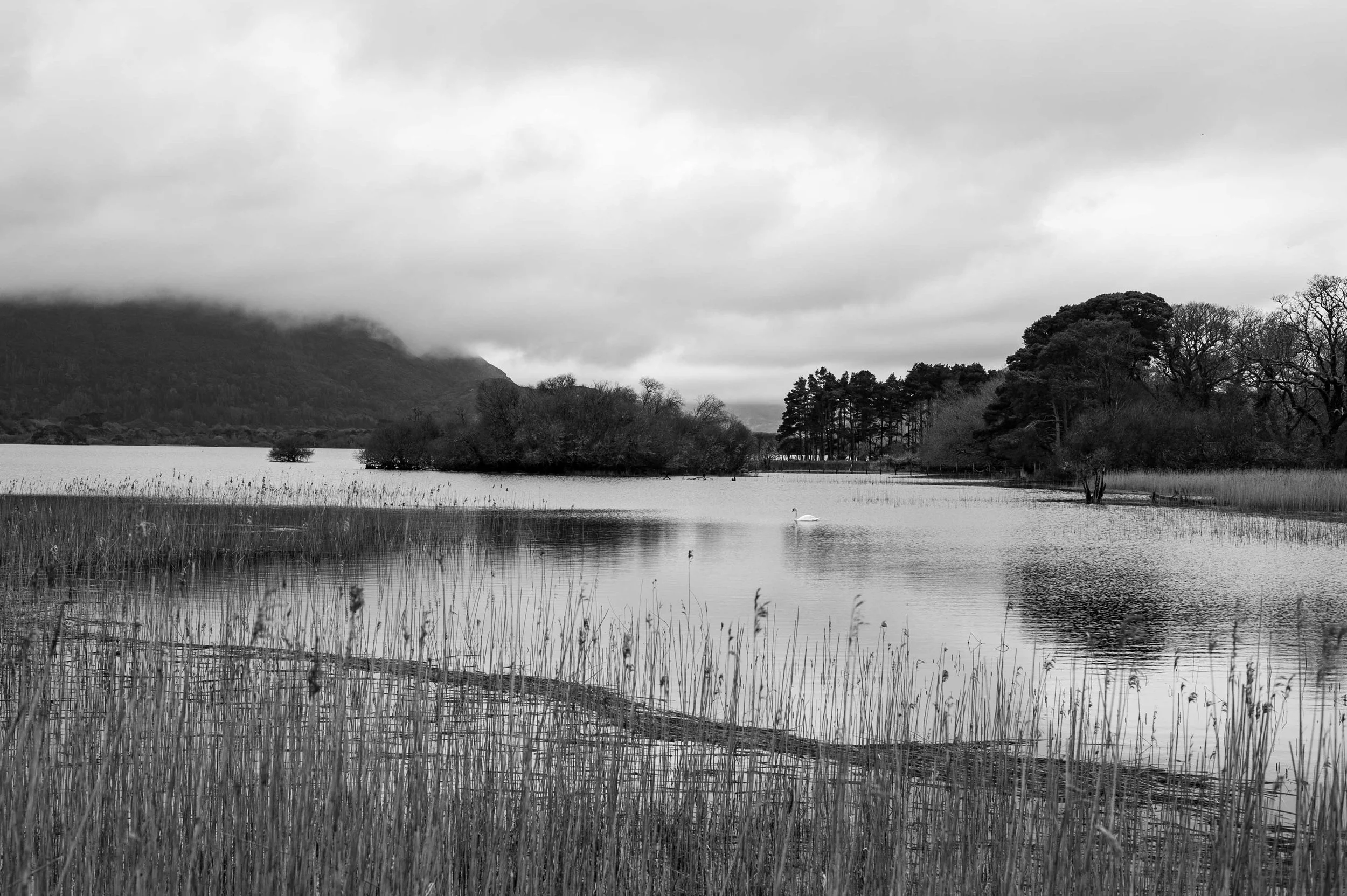 Michel Colaci Photography Land-4.jpg
