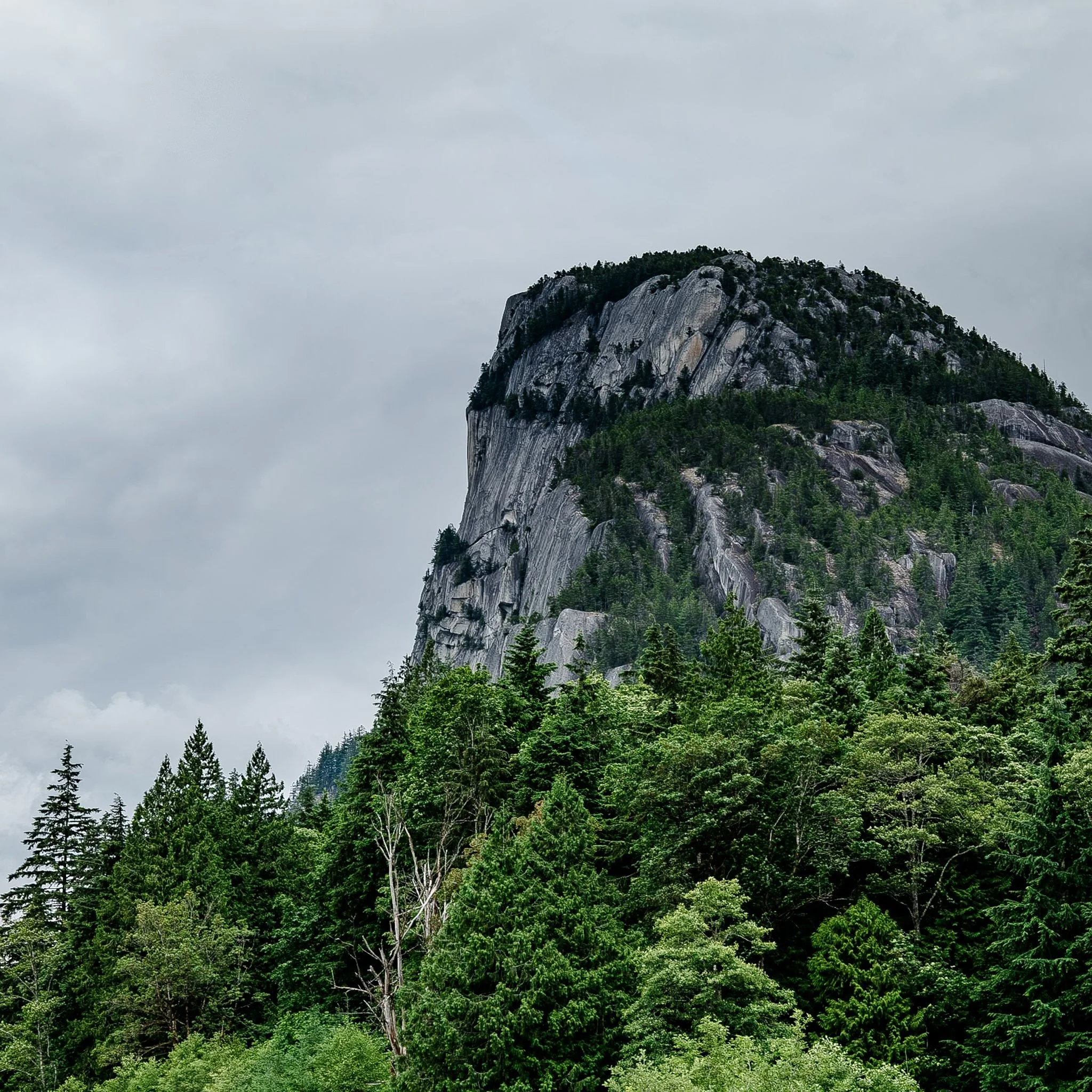Michel Colaci Photography Travel Diary BC Canada June 2026-17.jpg