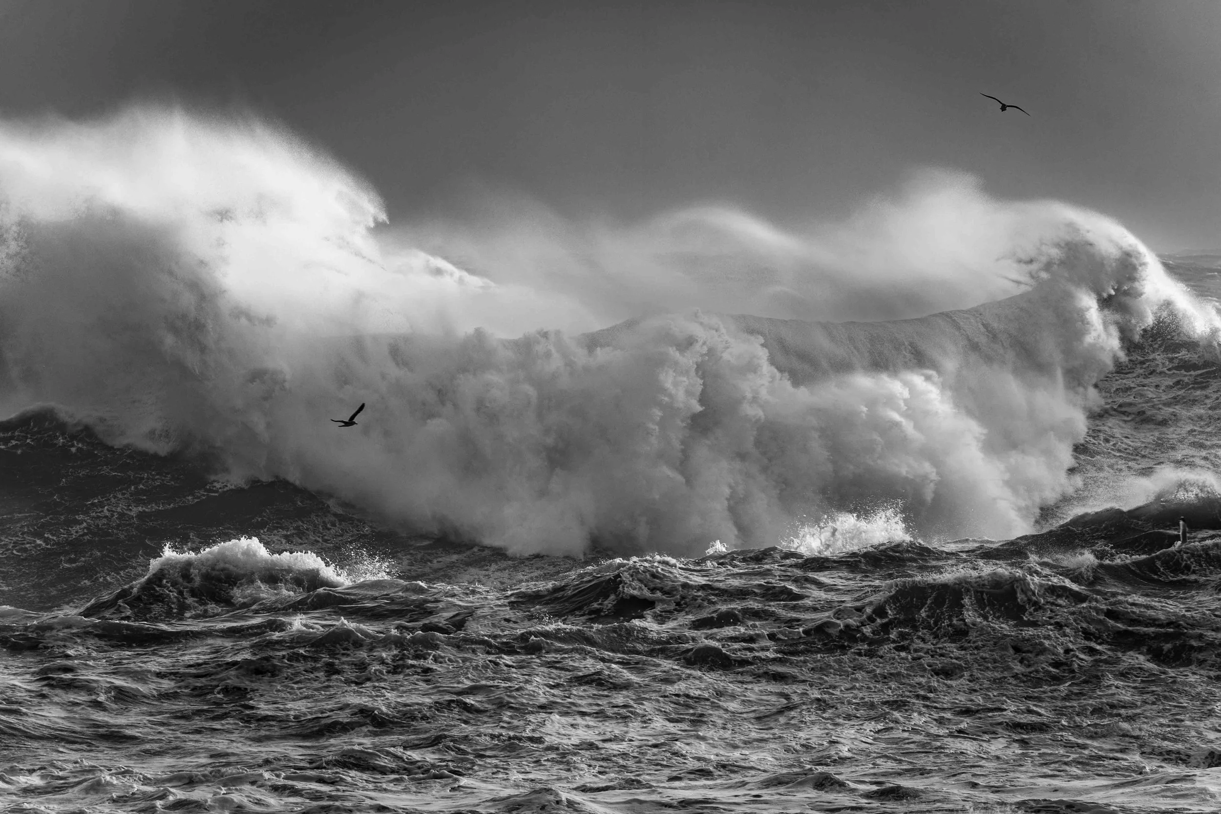 Michel Colaci Photography Surge-6.jpg