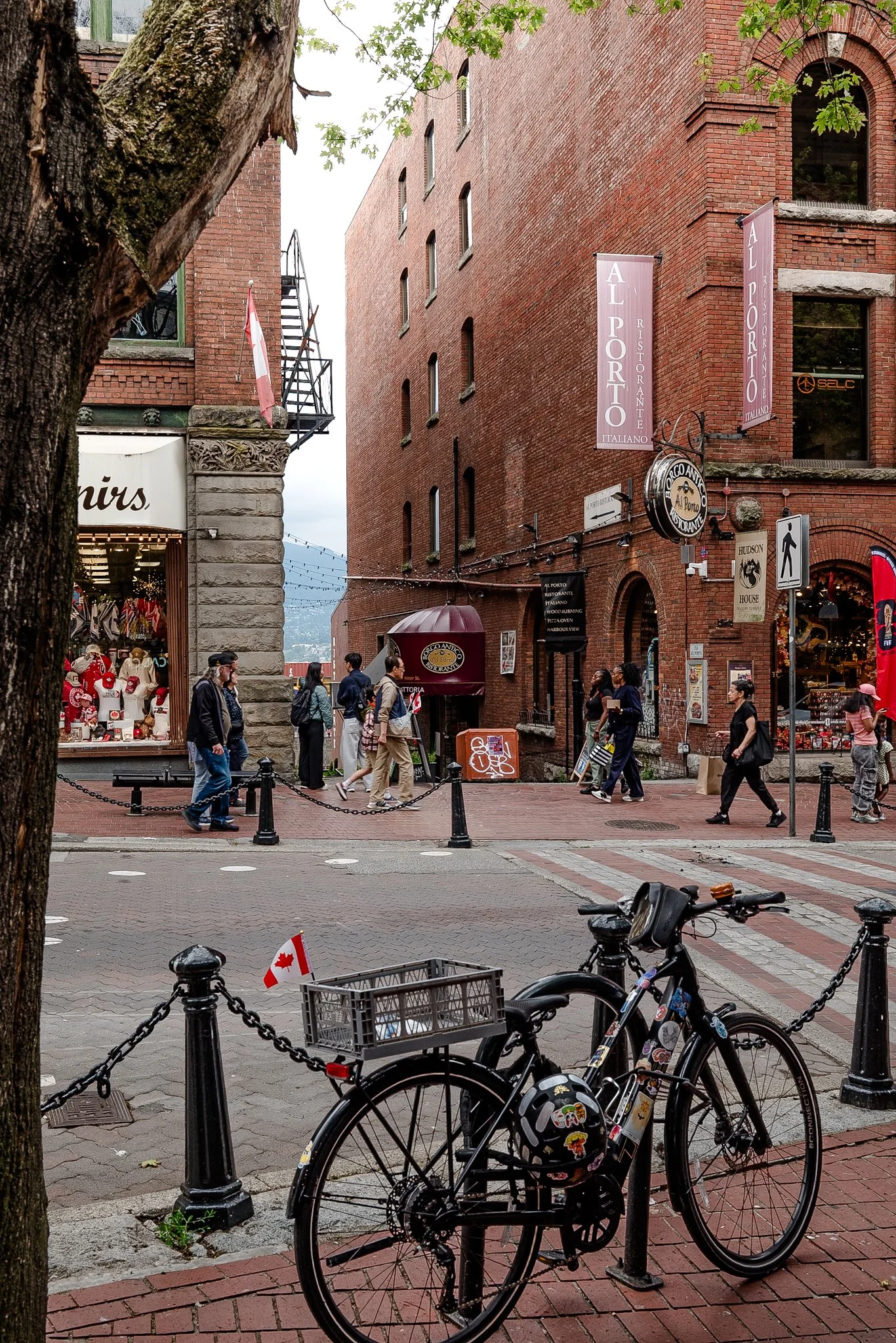 Michel Colaci Photography Travel Diary BC Canada June 2026-11.jpg