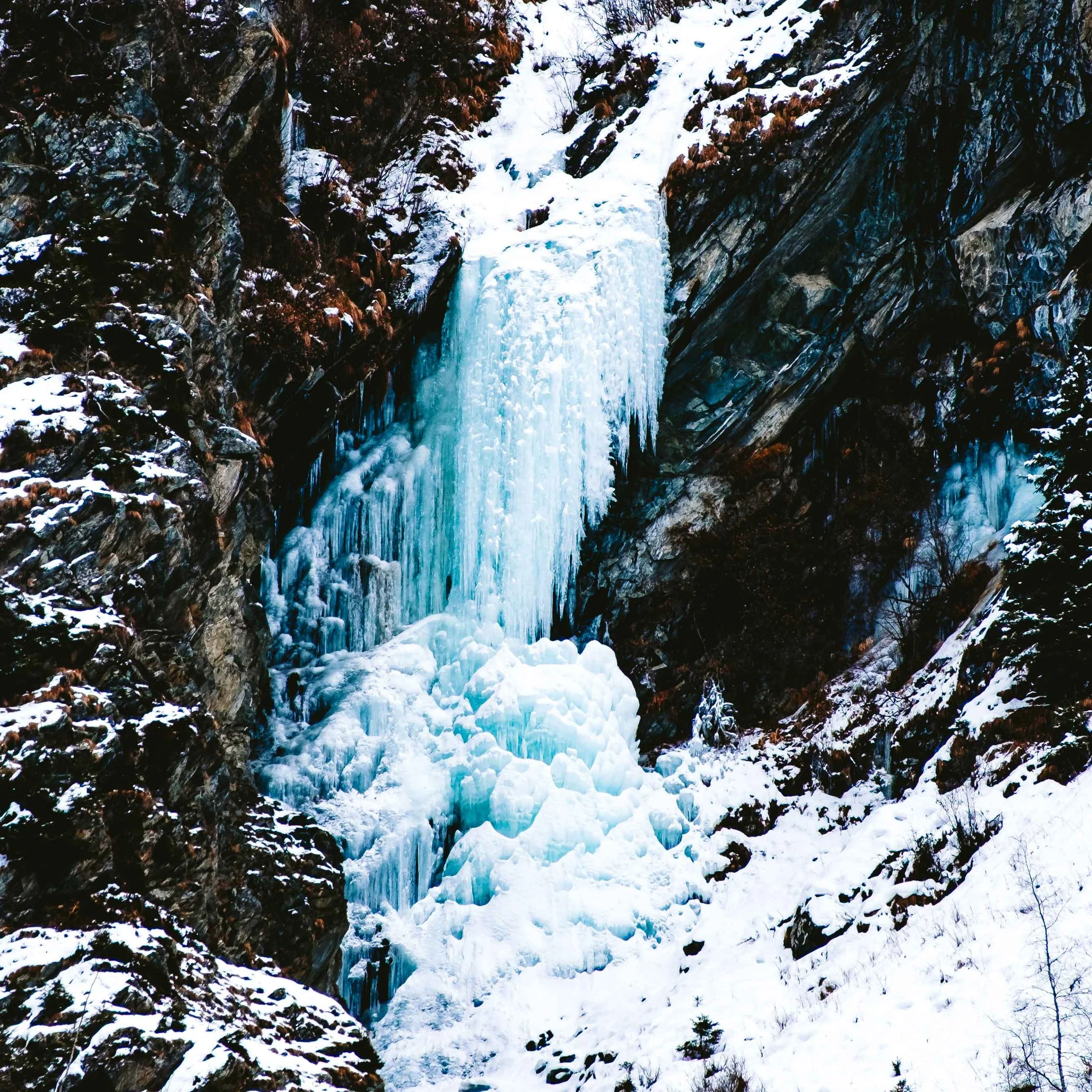 Michel Colaci Photography Snow-20.jpg