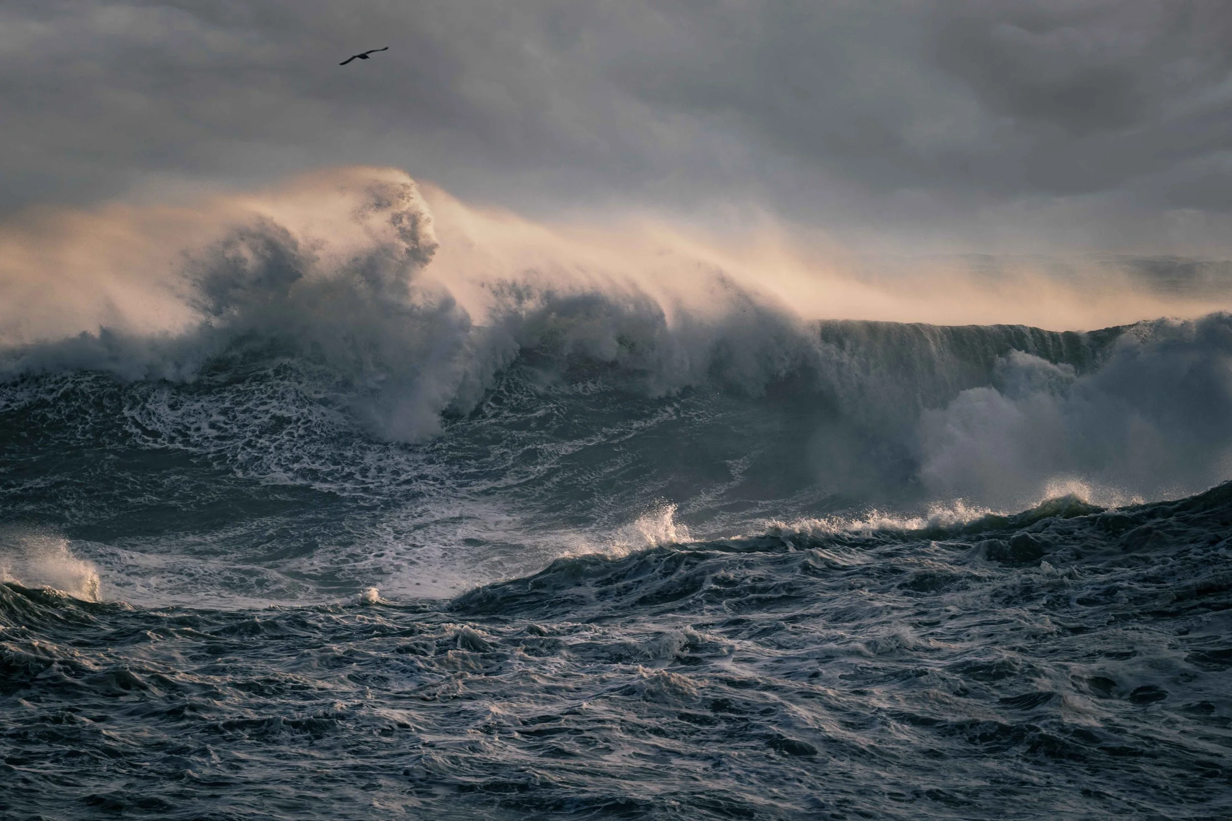 Michel Colaci Photography Surge-9.jpg