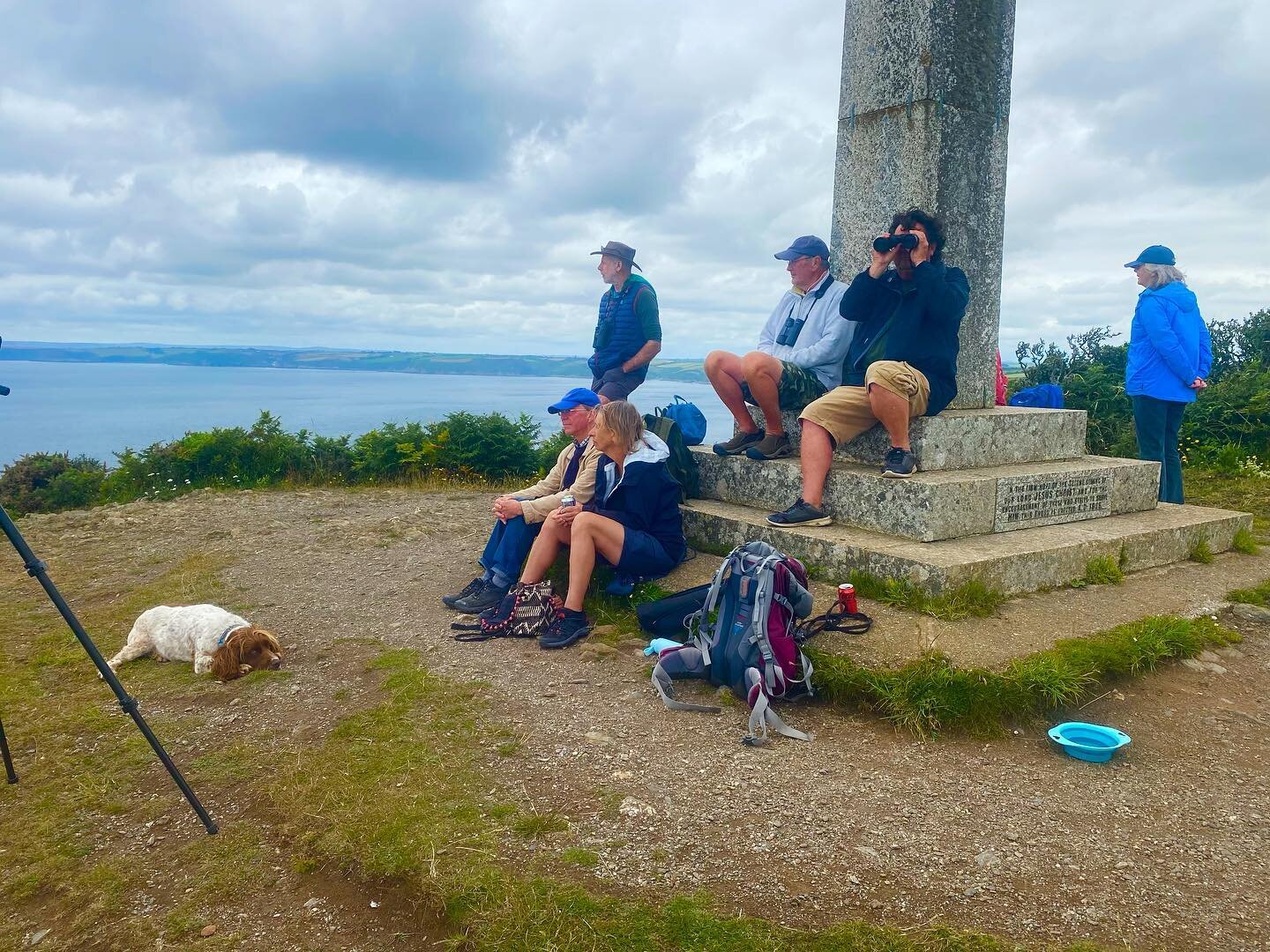 We had a good turn out on our seaquest survey this month! Sadly no marine mammals but the group did enjoy watching two Peregrine falcons and two Cornish choughs! 

Feel free to join us, we are at Dodman point on the first Sunday every month 11-13:00 