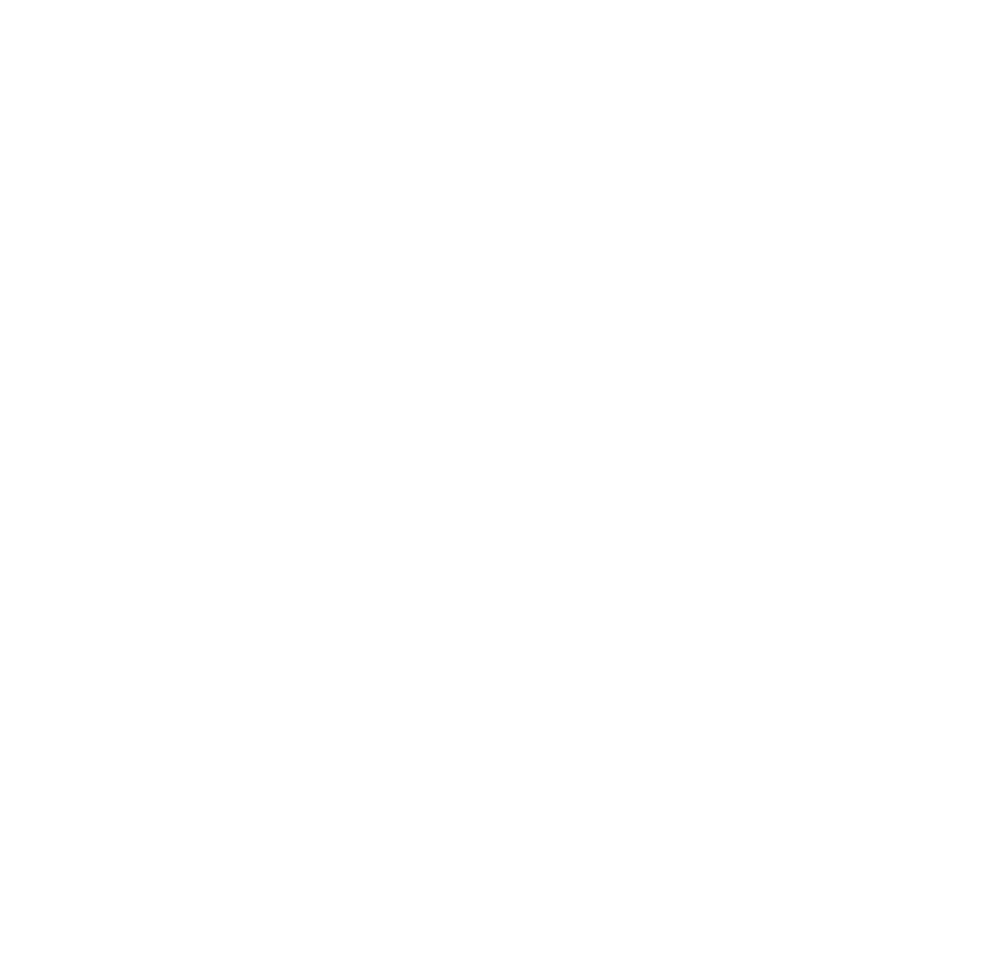 opel.png