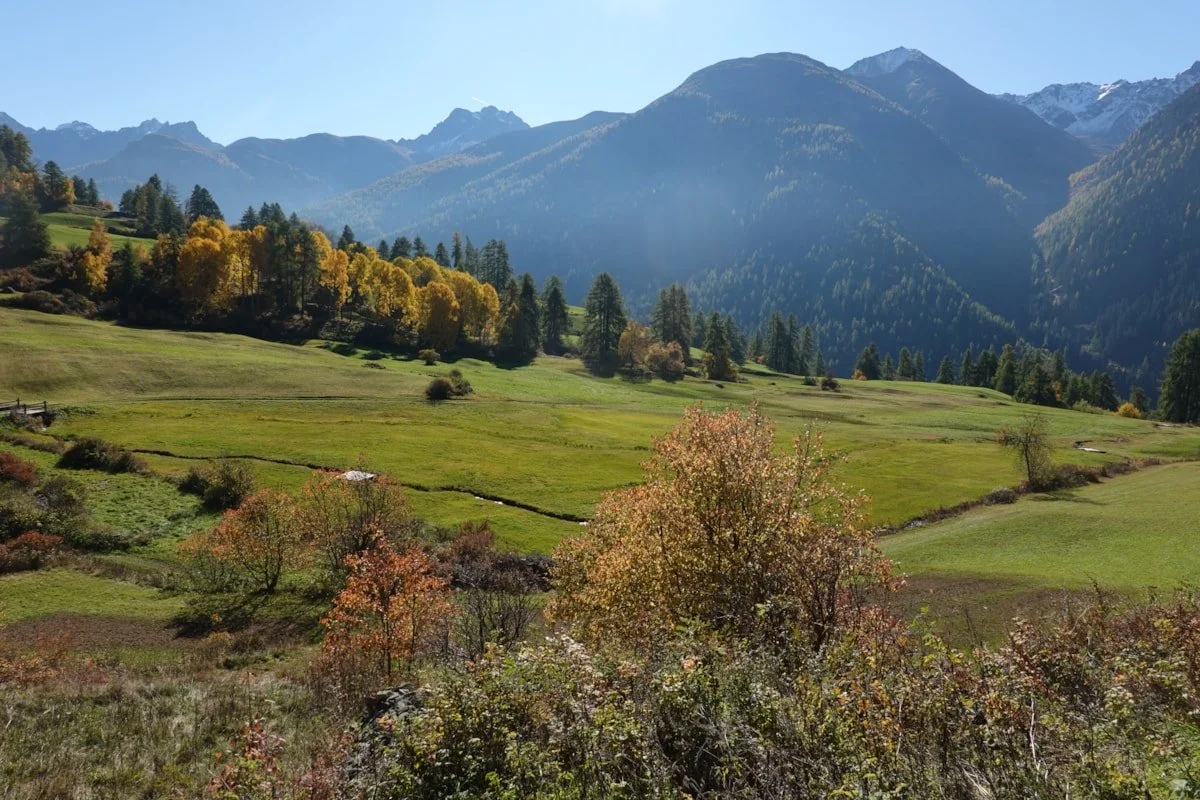 Moorlandschaft