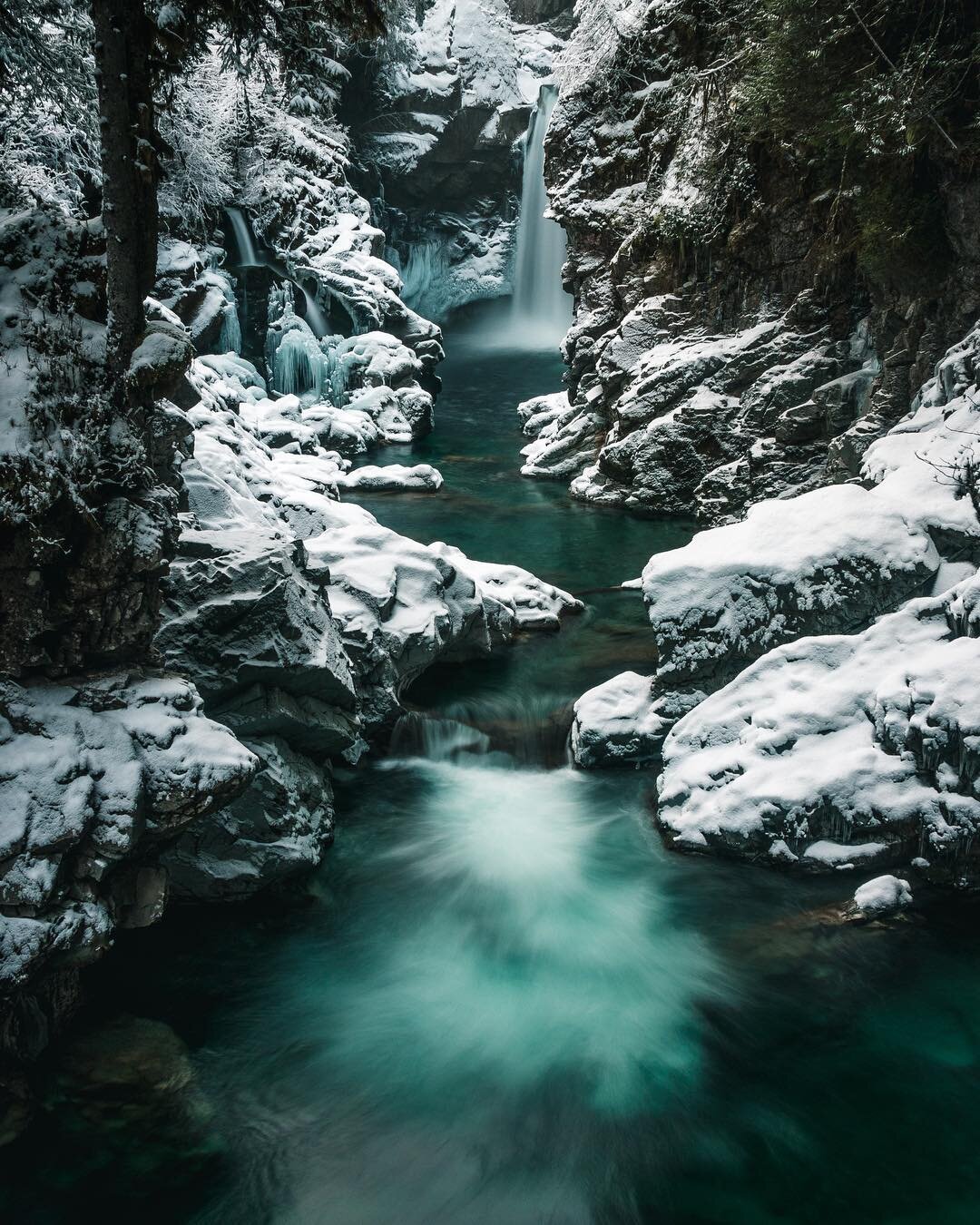 Rebirth of cool.
.
.
.
.
.
.
#squamish #exploresquamish #explorebc #hellobc #pnwonderland #pnwcollective #seatosky #squamishadventure #squamishchief #adventurevisuals #pnwbc