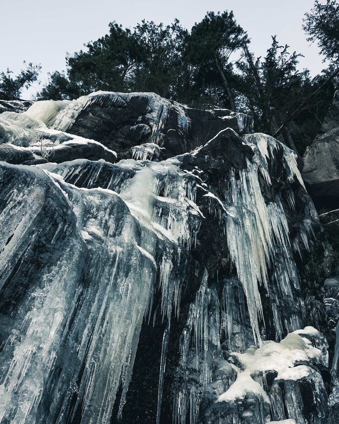 RZA sharp.
.
.
.
.
.
.
#squamish #explorebc #hellobc #seatosky #whistler #pnw #pnwonderland #exploresquamish #artofvisuals #squamishadventure