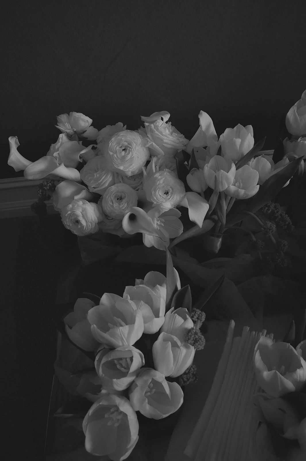 JB6_7218_websize.jpg