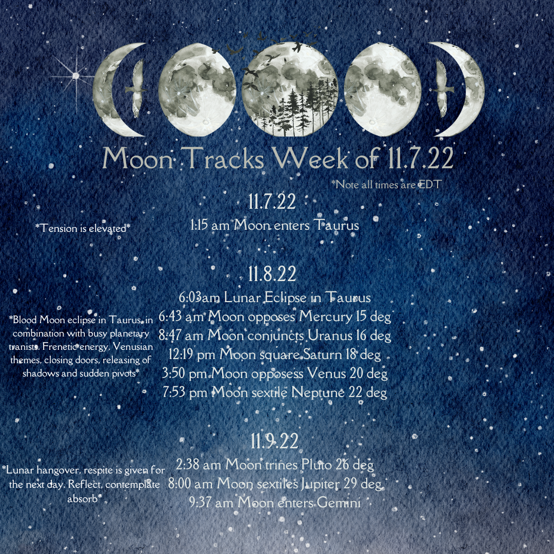 Molly's Moon-day Musings (2).png