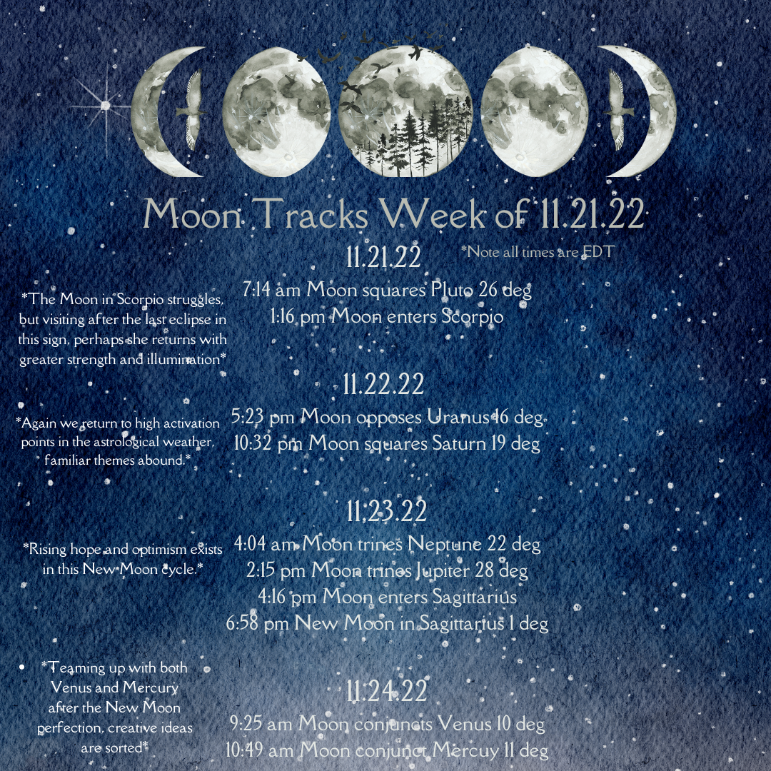11.21.22 b.png