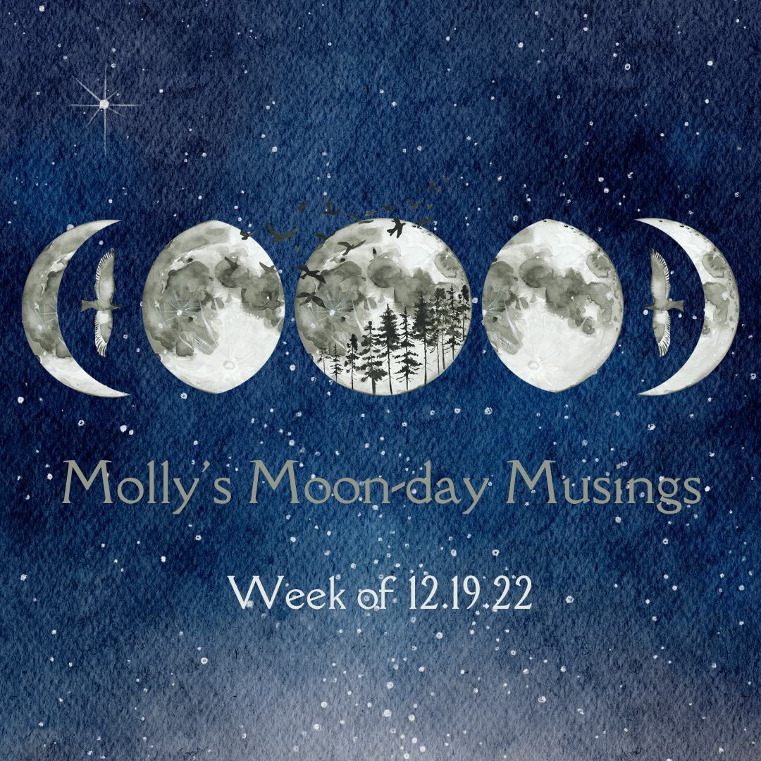 12.19.22 Moon Tracks