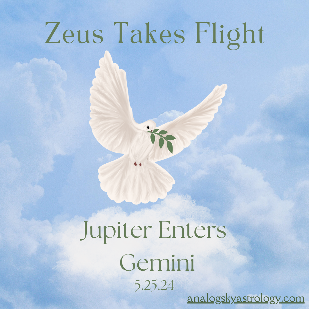 Zeus Takes Flight