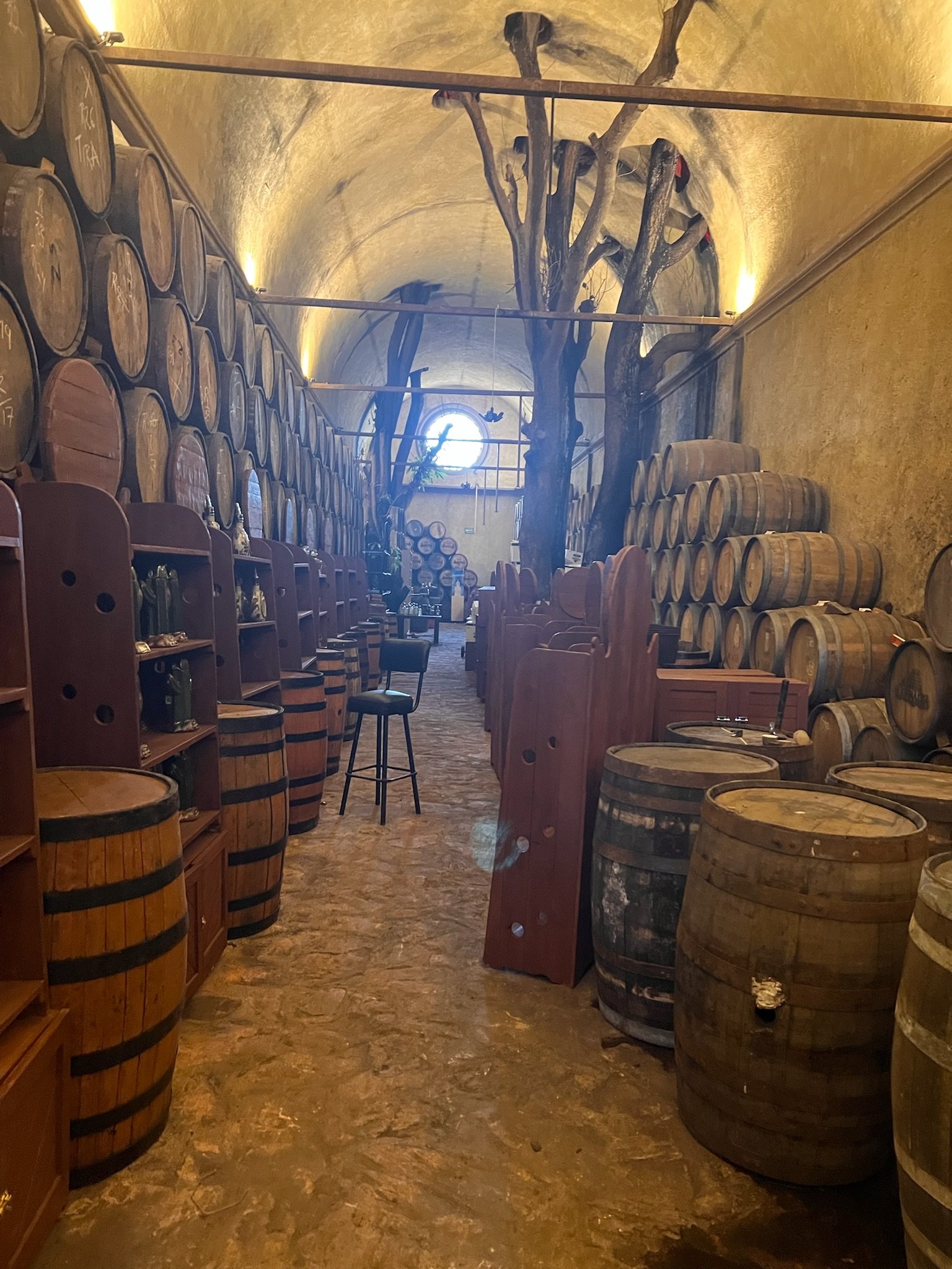 Wine cellar with wooden barrels, rustic interior, tall archway ceiling, stone floor, and shelves.