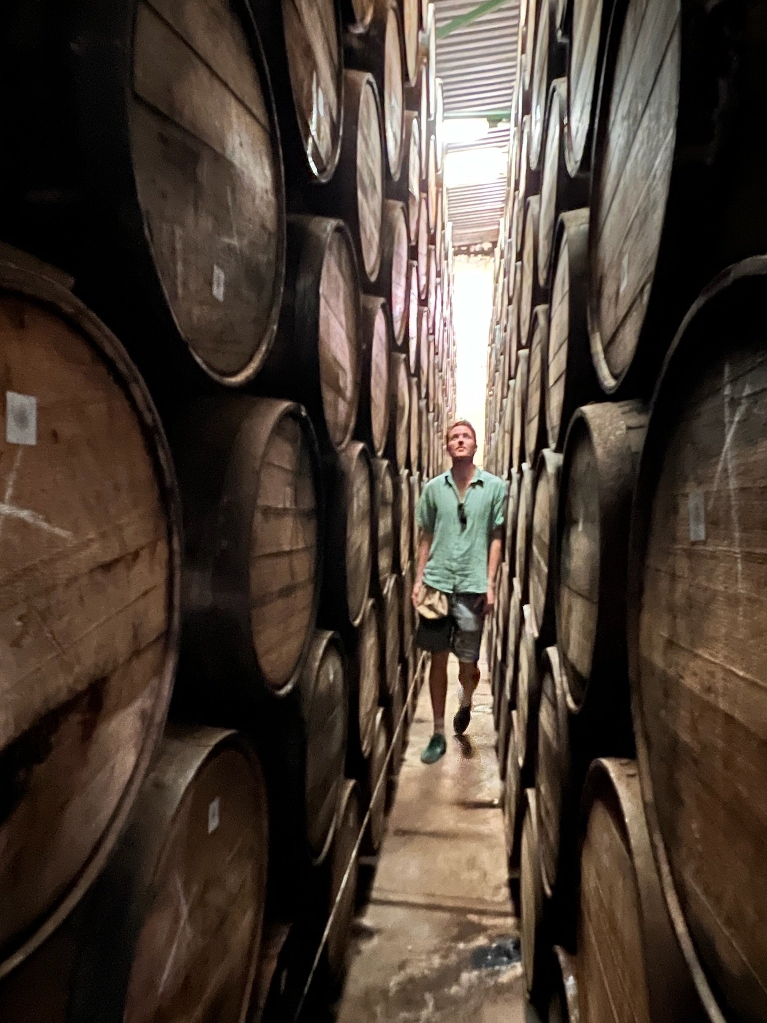 Fred walking through a narrow aisle between stacks of wooden barrels in a tequila warehouse.