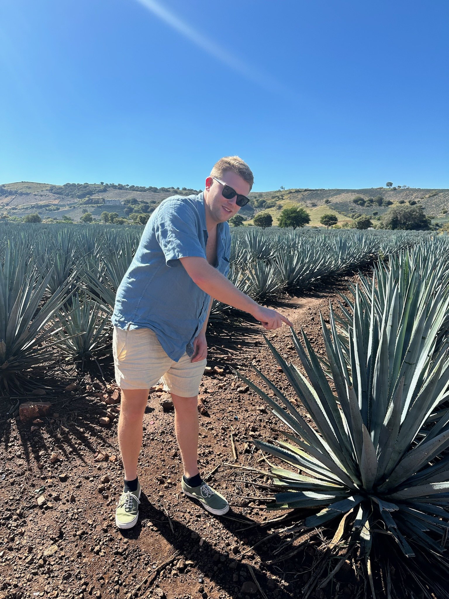 Person in sunglasses and casual clothes standing next to a large agave plant in a desert landscape, with hills in the background and clear blue sky overhead.