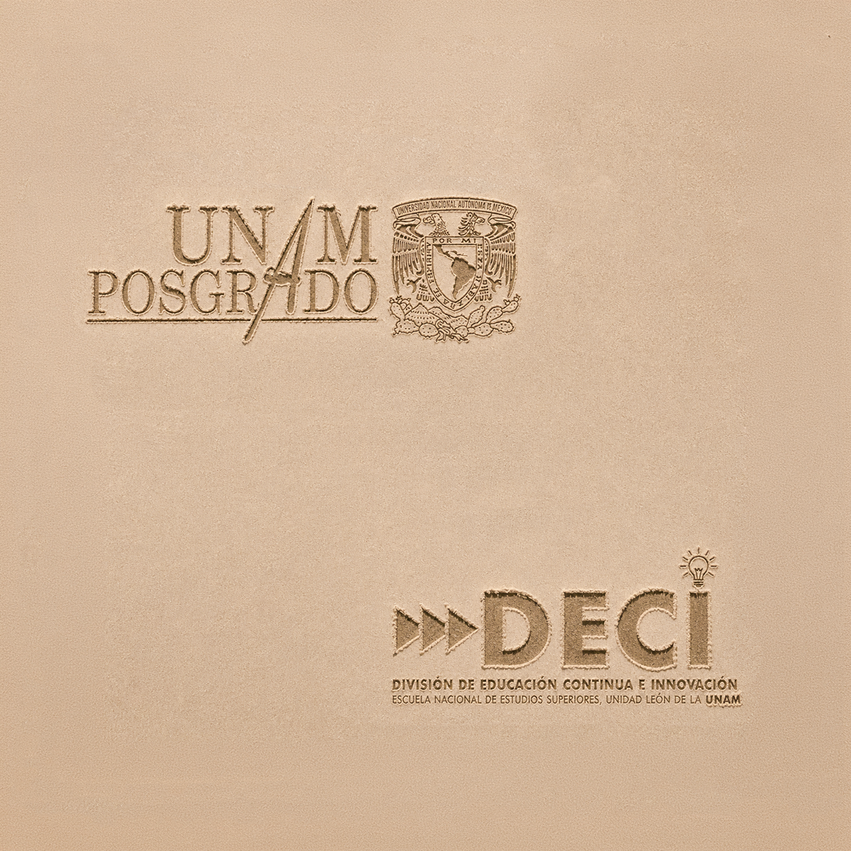 ChatGPT Image 10 ago 2026, 13_01_49.png