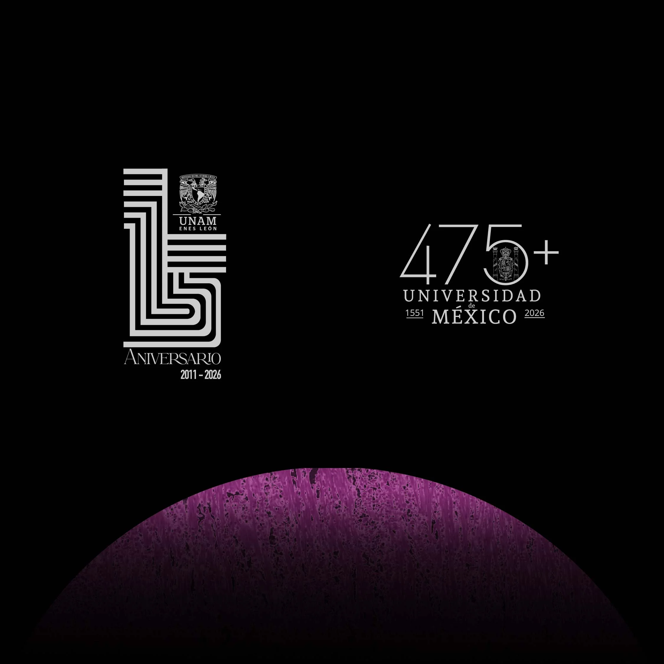 LOGOS 9CIPOM CARRUSEL-01.jpg