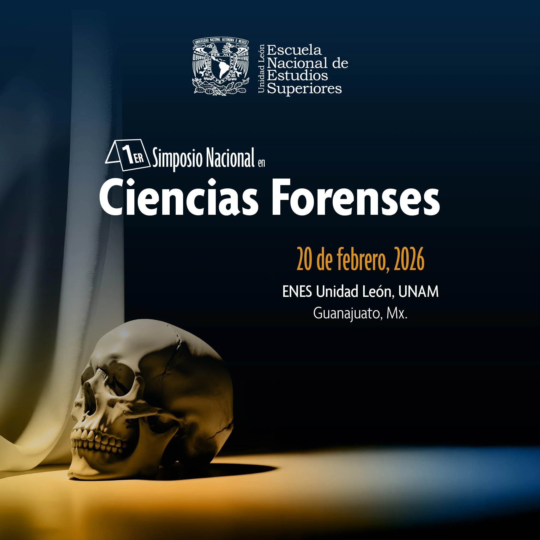 Forense cuadrado página.jpg