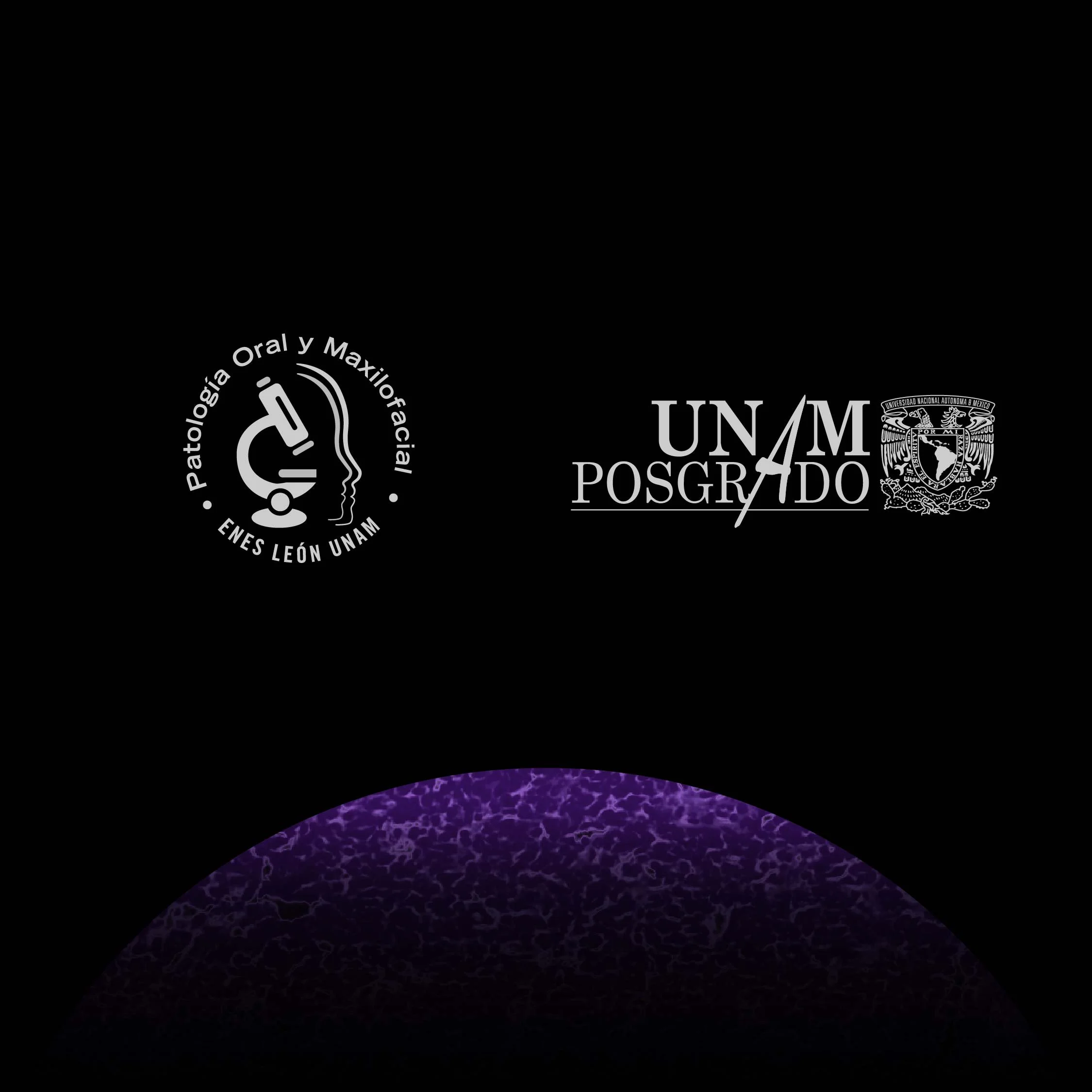 LOGOS 9CIPOM CARRUSEL-03.jpg