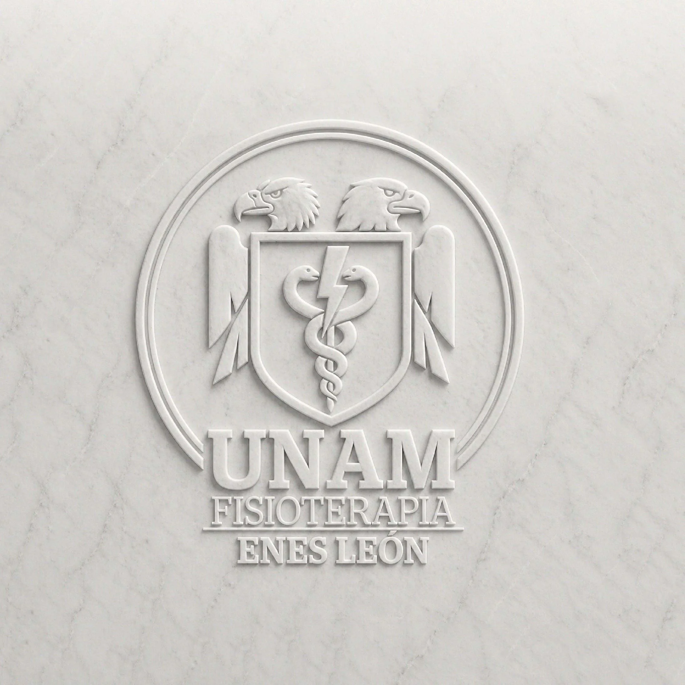 Logos 6cif nuevos-05.jpg