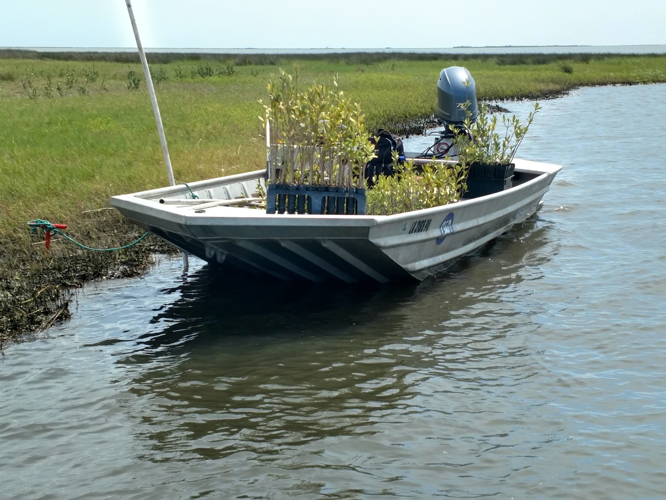 Meraux Foundation Recent Coastal Highlights