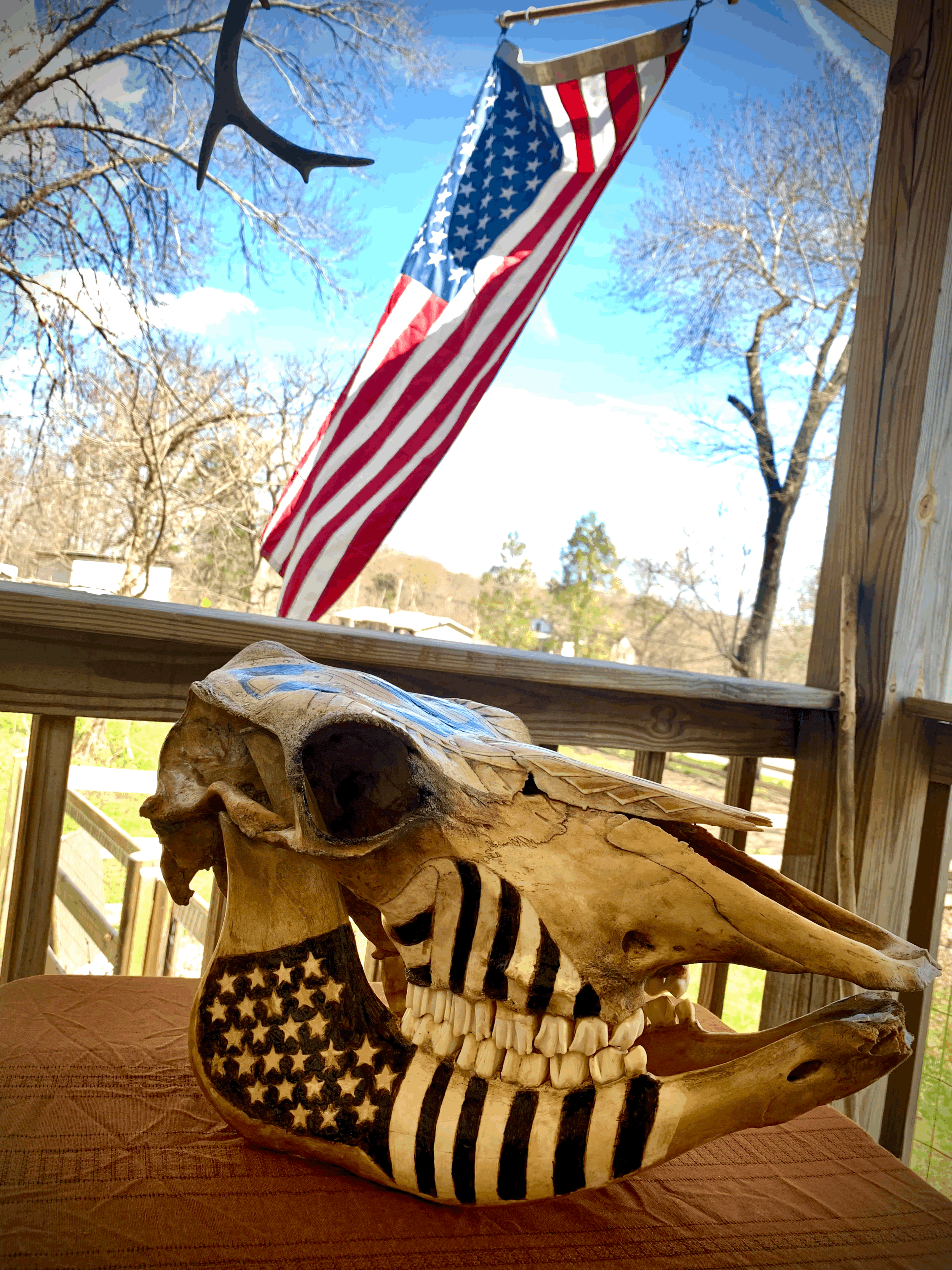 Patriotic, Hand-Carved Skull Art