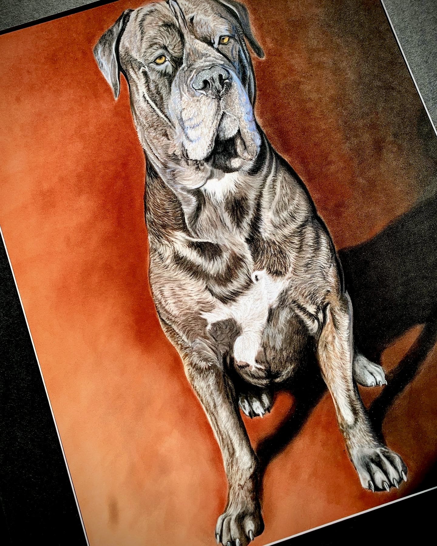 Cane Corso, "Enzo", 16"x20"