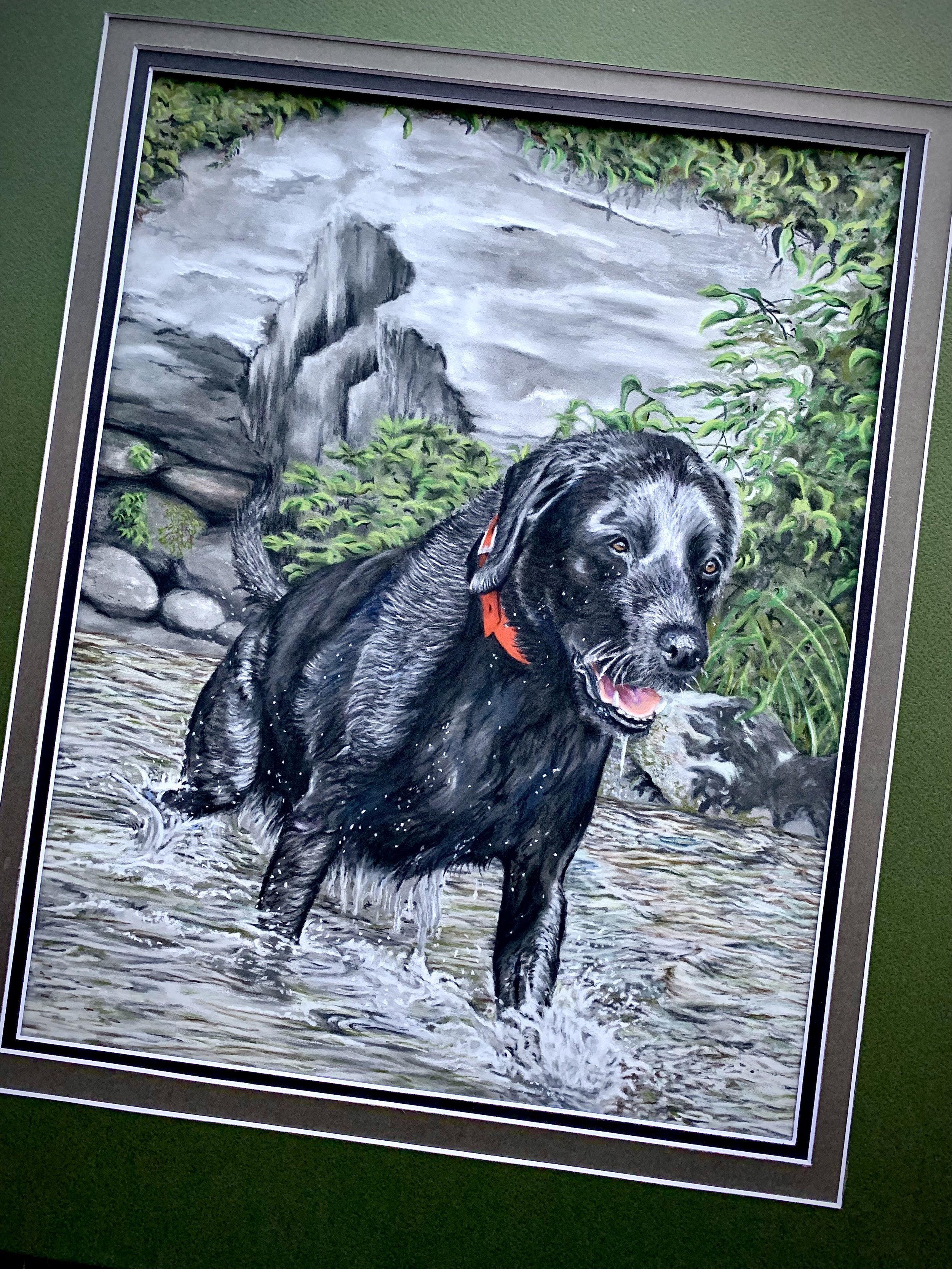 "Cole", 11"x14"