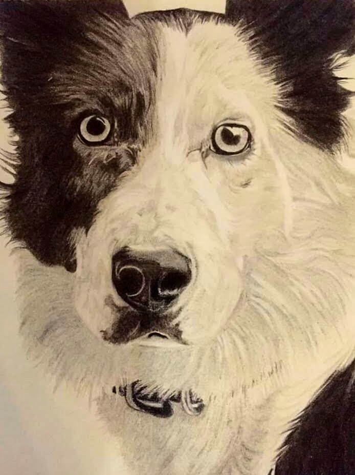 Graphite Portrait, "Augy" 9"x12"