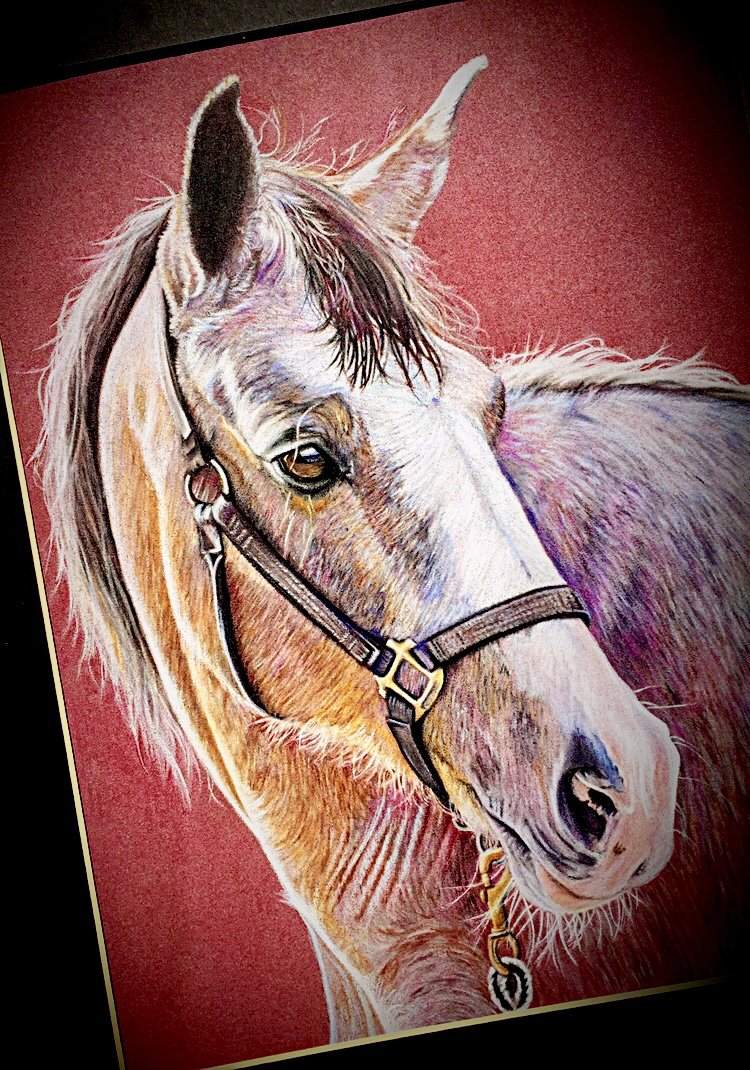 Memorial Portrait "Rocky", 9"x12"