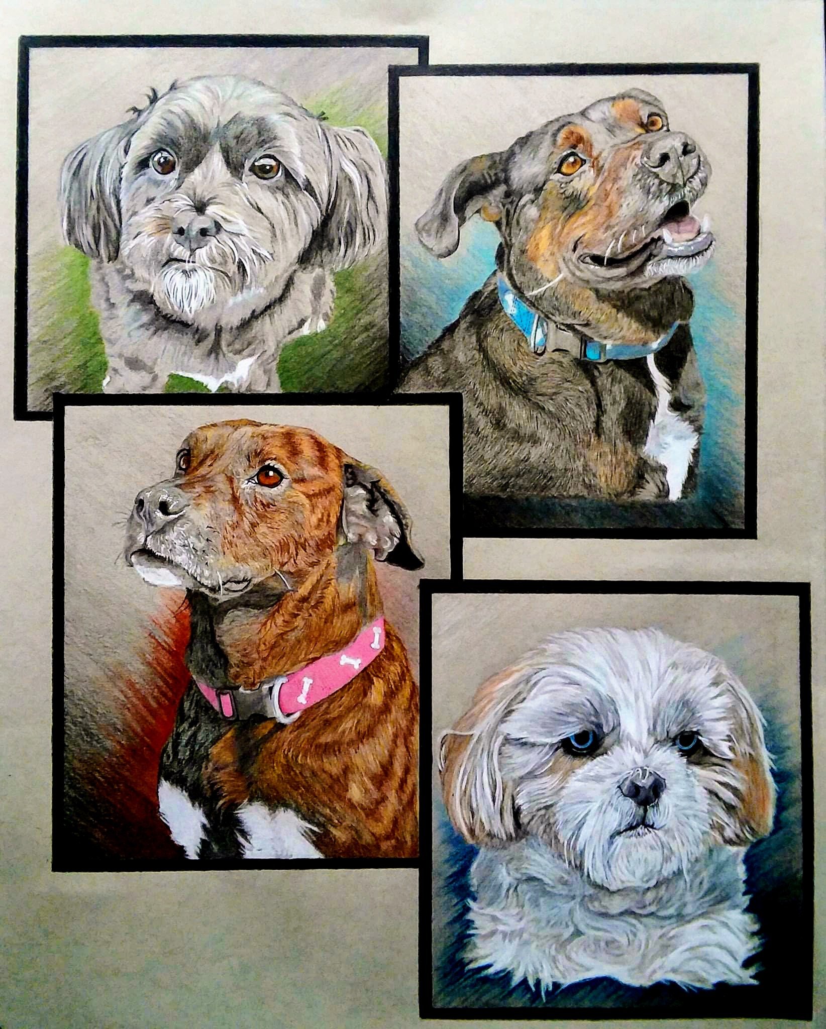 4 Subject Portrait, "Drifter, Bandit, Rocky, & Gizmo" 18"x24"