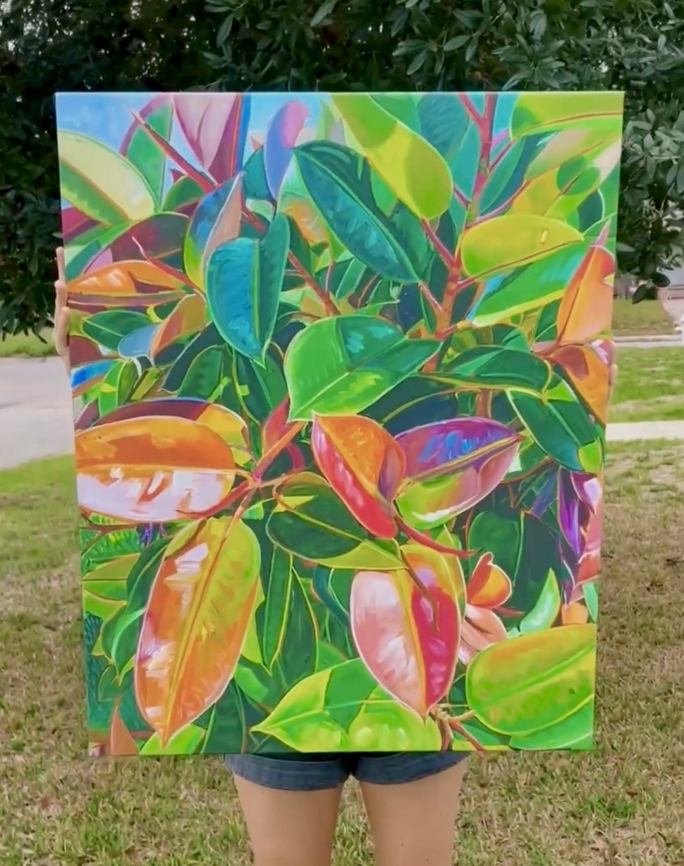 Florida Rubber Tree Canvas Print  Not Sorry Art