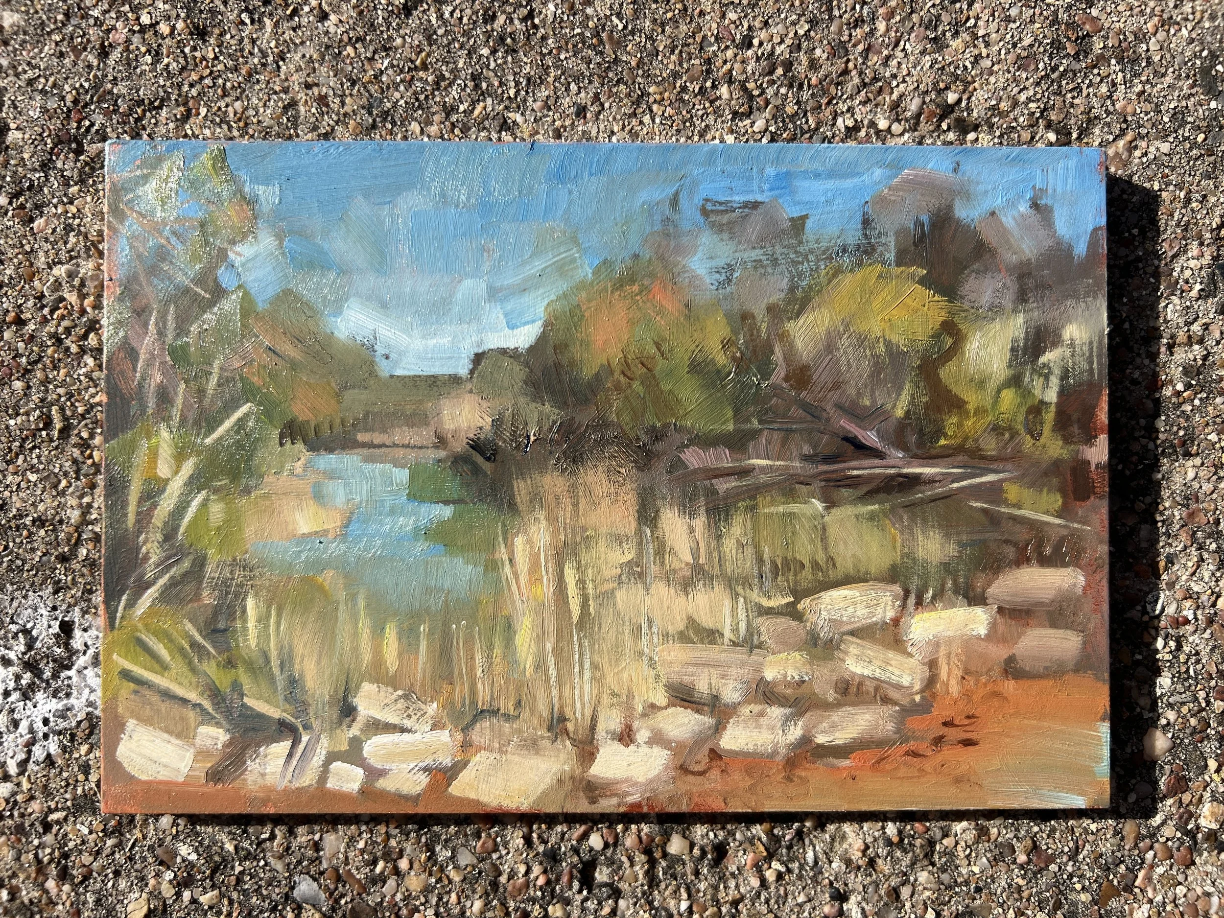 Creek at Palo Pinto