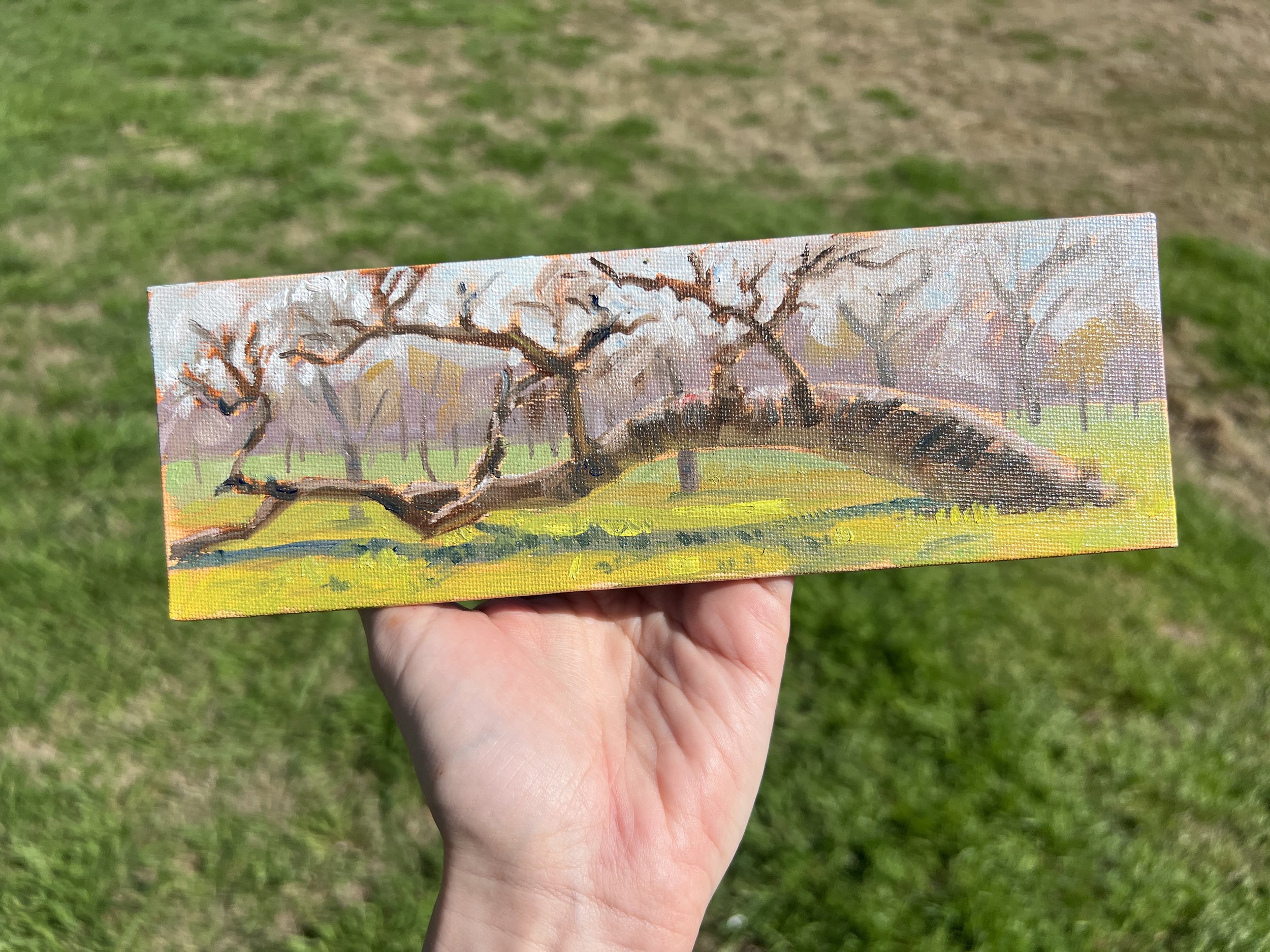 Trinity Park Plein Air.JPG