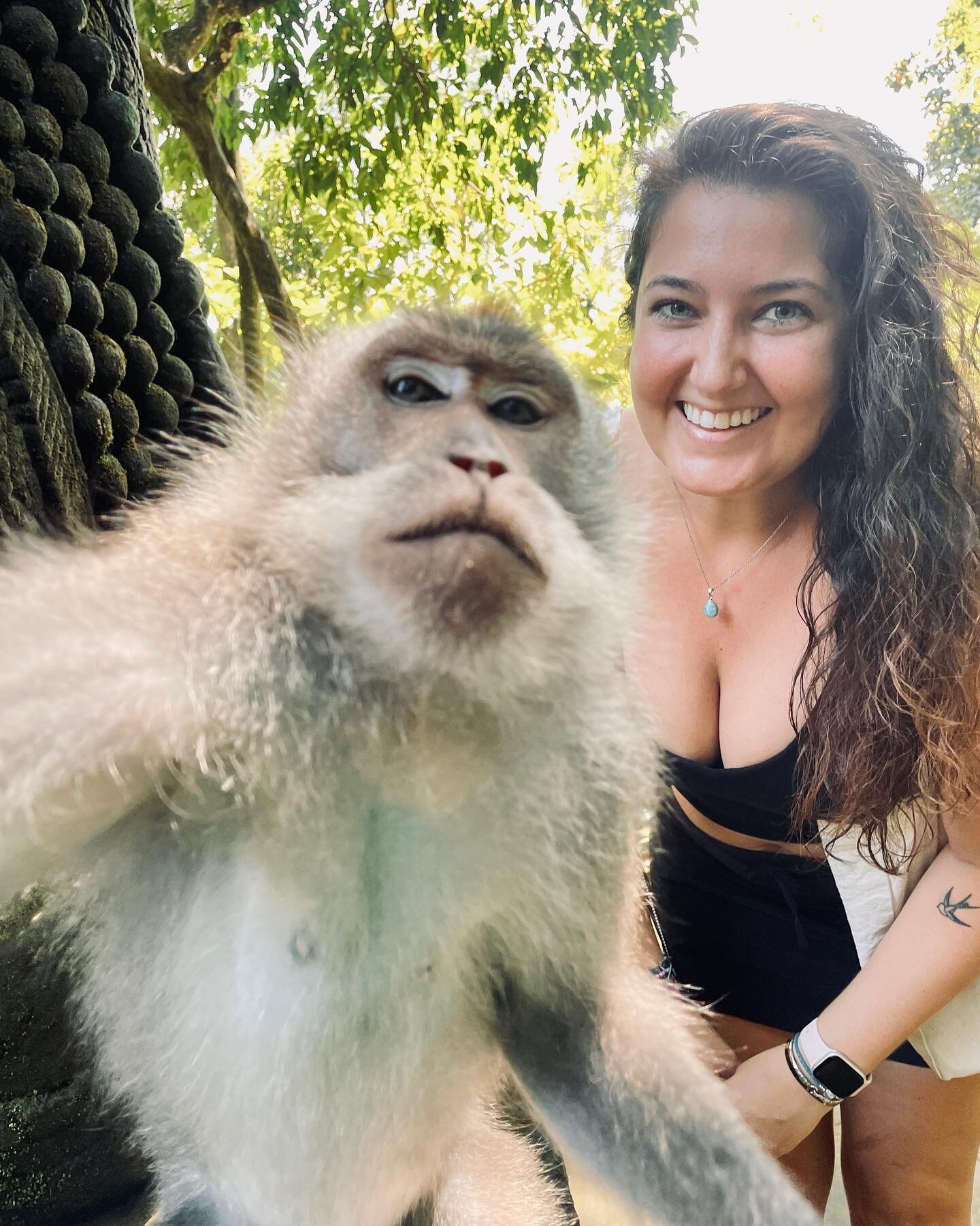 When in Bali&hellip;🙈🙉🙊

I crack up every time I see this picture. I can&rsquo;t get over it. 

Stories detailing the Monkey Forest are up now. 

📍: Monkey Forest, Ubud, Bali 
@monkeyforestsanctuaryubud
