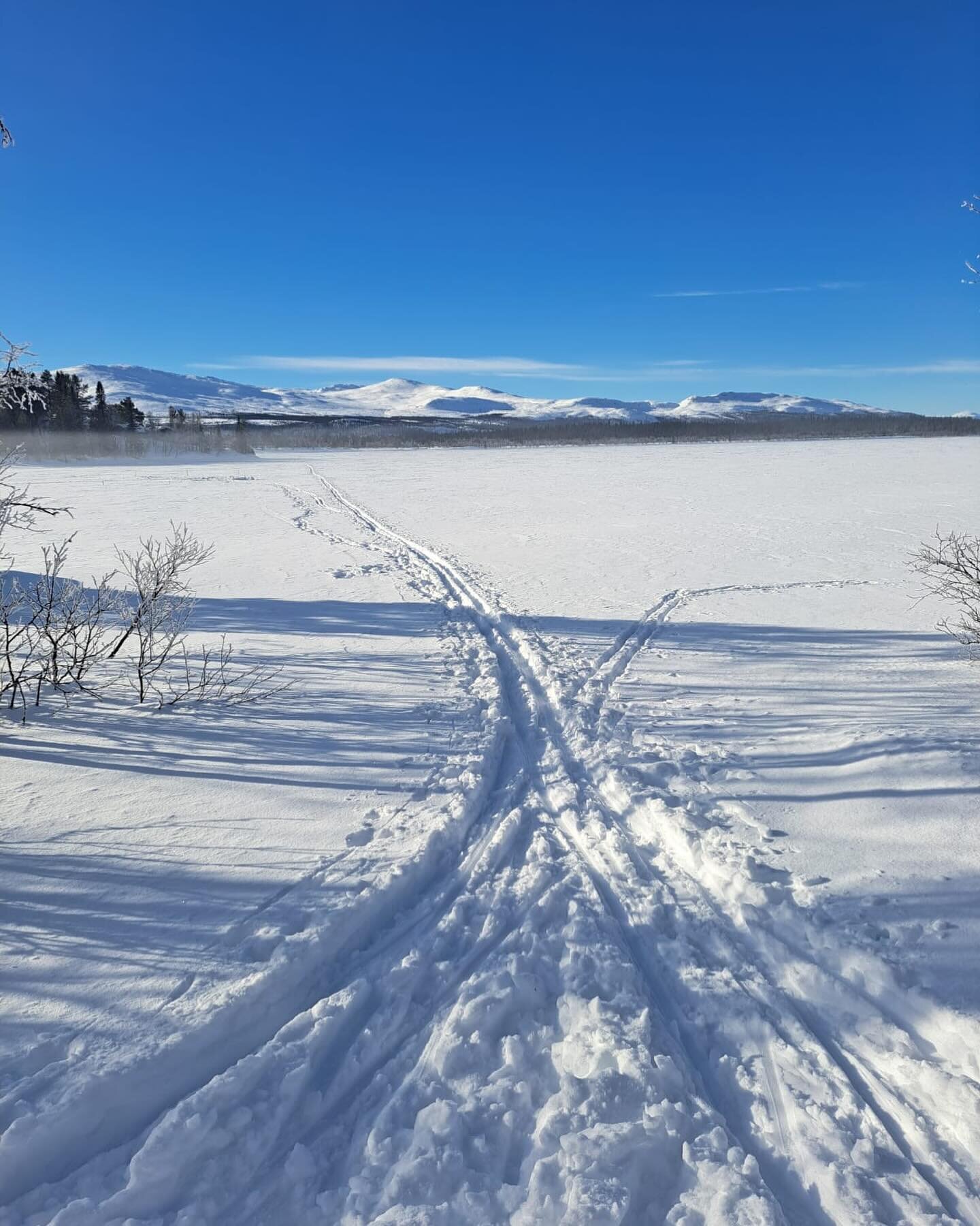 Fantastic day for skiing in Norway.