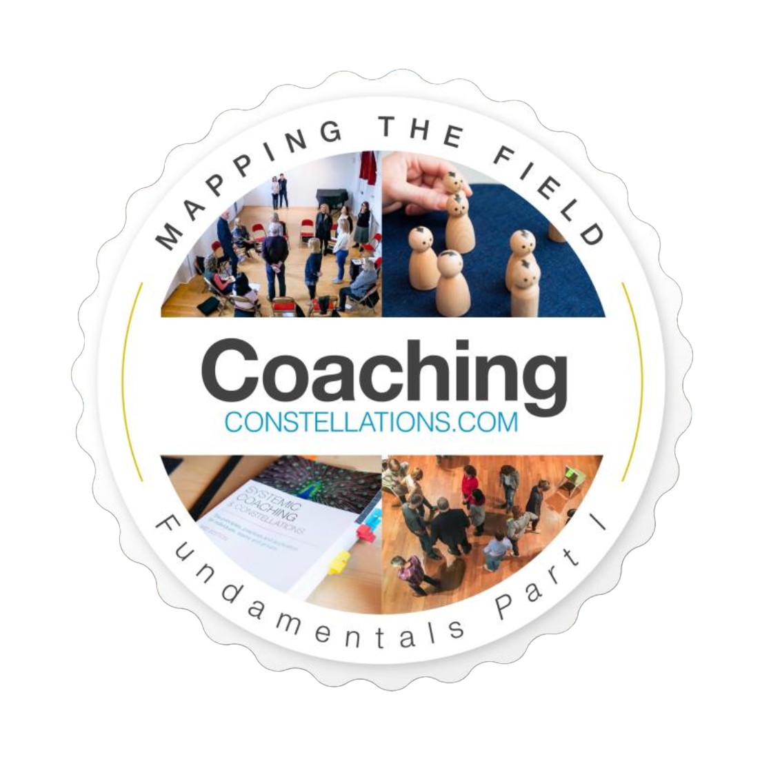 Systemic and constellations coaching Level 1 systemic coaching.png