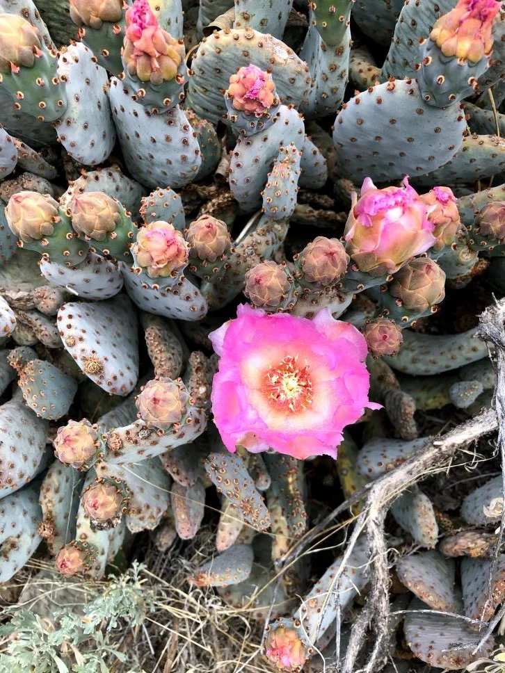 Sip &amp; Sort - Learn about Photo Management