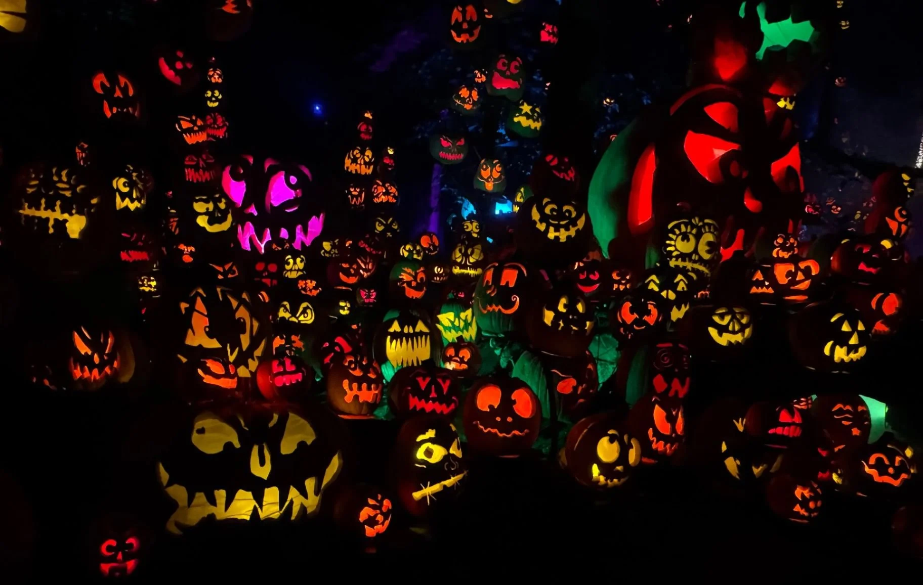 Fall Is Here… Is Your Photo Collection Ready for the Holidays?