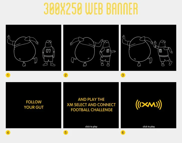 XM300by250Banner.jpg