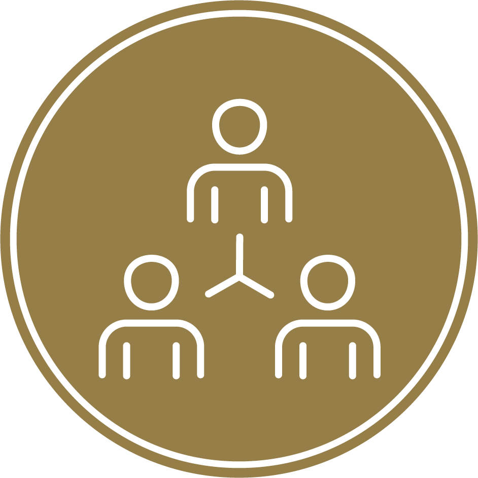 Group / Team Coaching