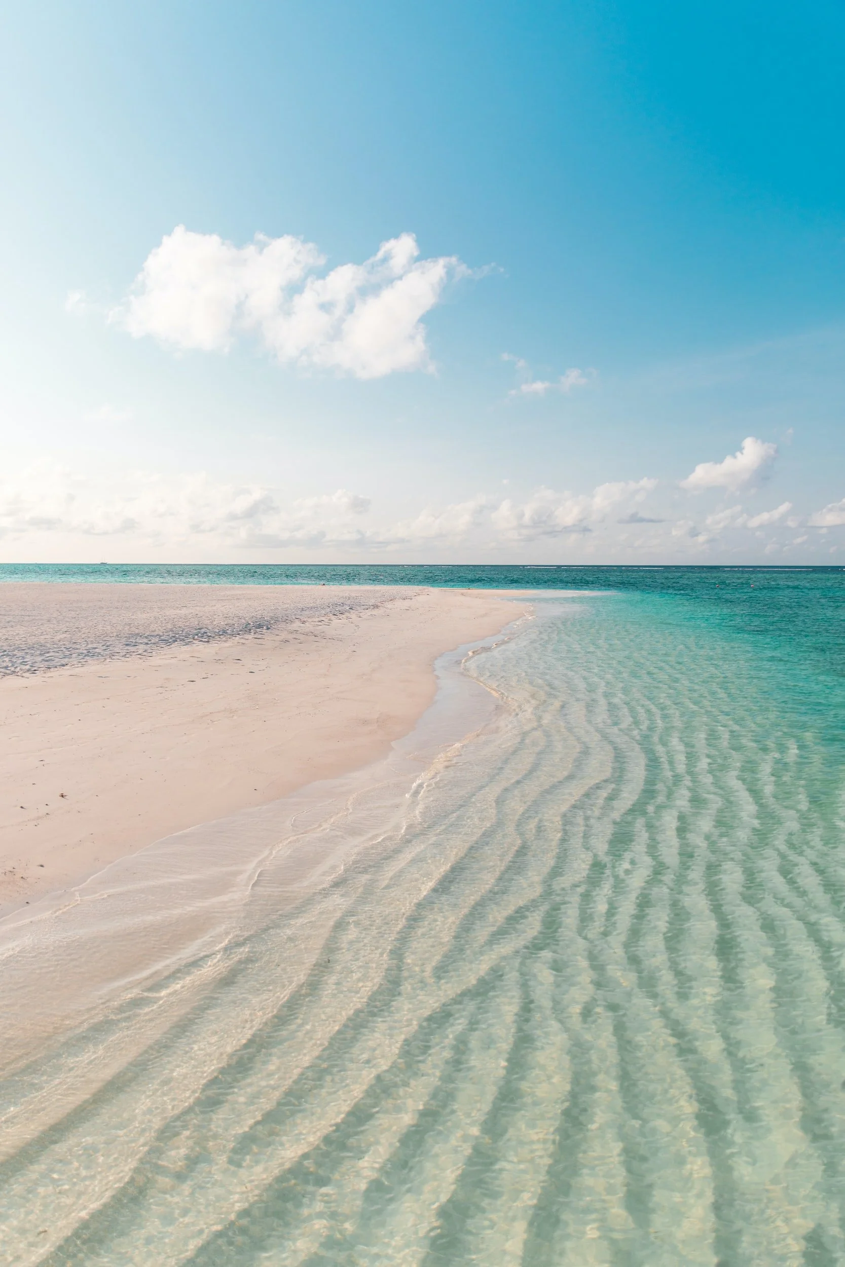 unsplash-image-8OGJqpNMBGM.jpg