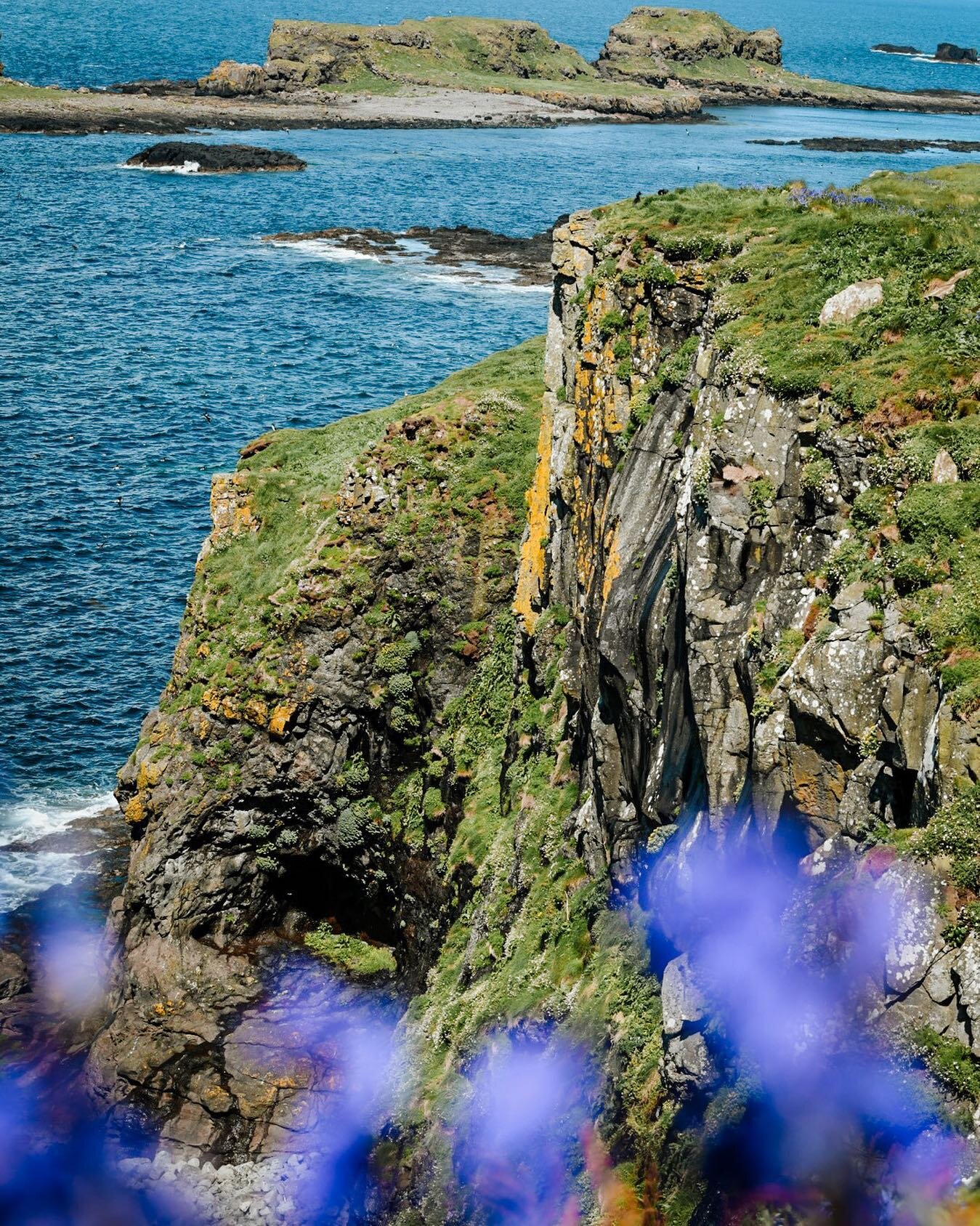 Im currently in Scotland on a solo adventure. Today I took a boat tour out to the Isle of Lunga &amp; Staffa and was blessed with this beautiful weather, stunning views and lots of wildlife. @staffa_tours #isleofstaffa #isleoflunga 
.
.
.
.

#outdoor