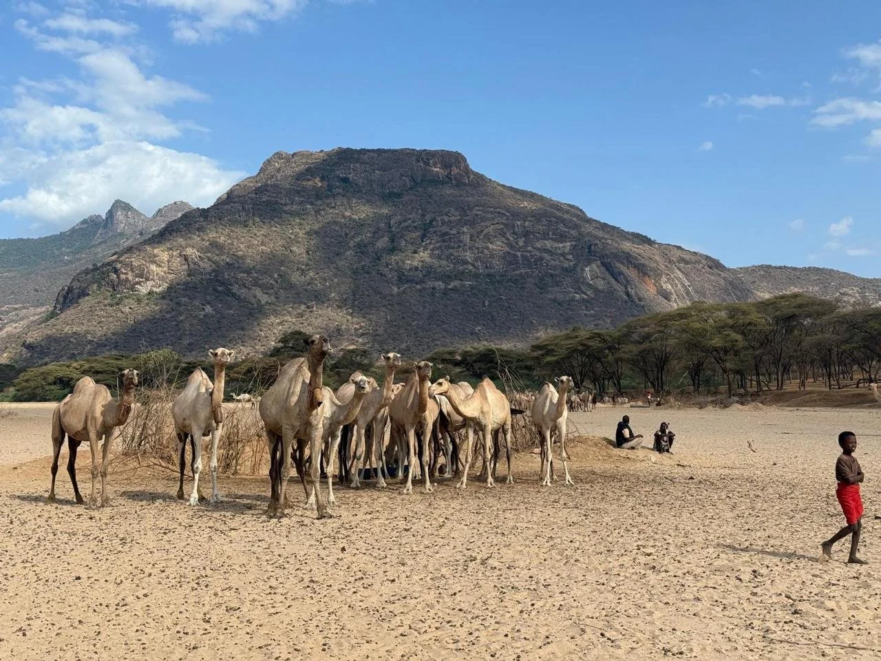 WhatsApp Image 2026-02-16 at 10.51.42.jpeg