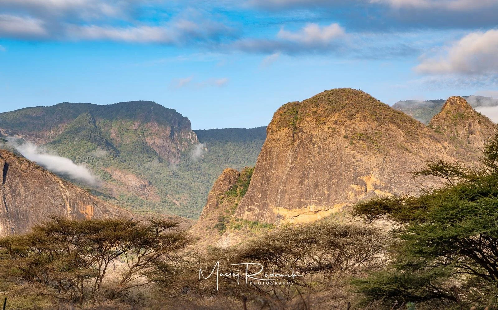 WhatsApp Image 2026-02-16 at 10.54.57.jpeg