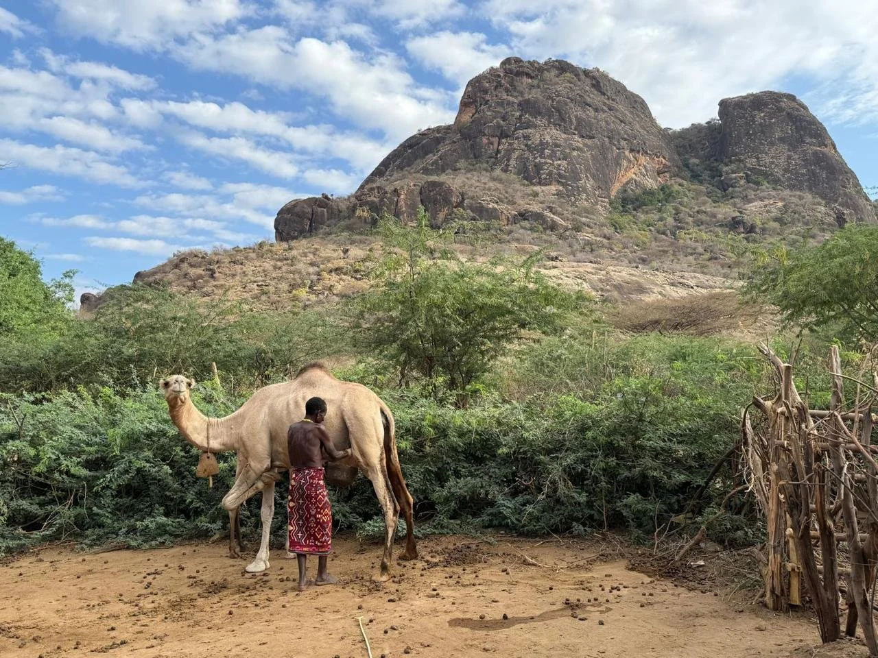 WhatsApp Image 2026-02-16 at 10.51.41.jpeg