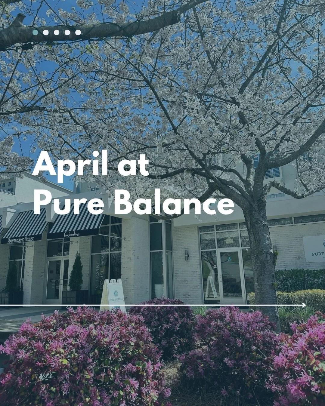 April at Pure Balance🌿

Swipe for everything happening this month &rarr; events, birthdays, and the kickoff of our Spring Into Summer Challenge!