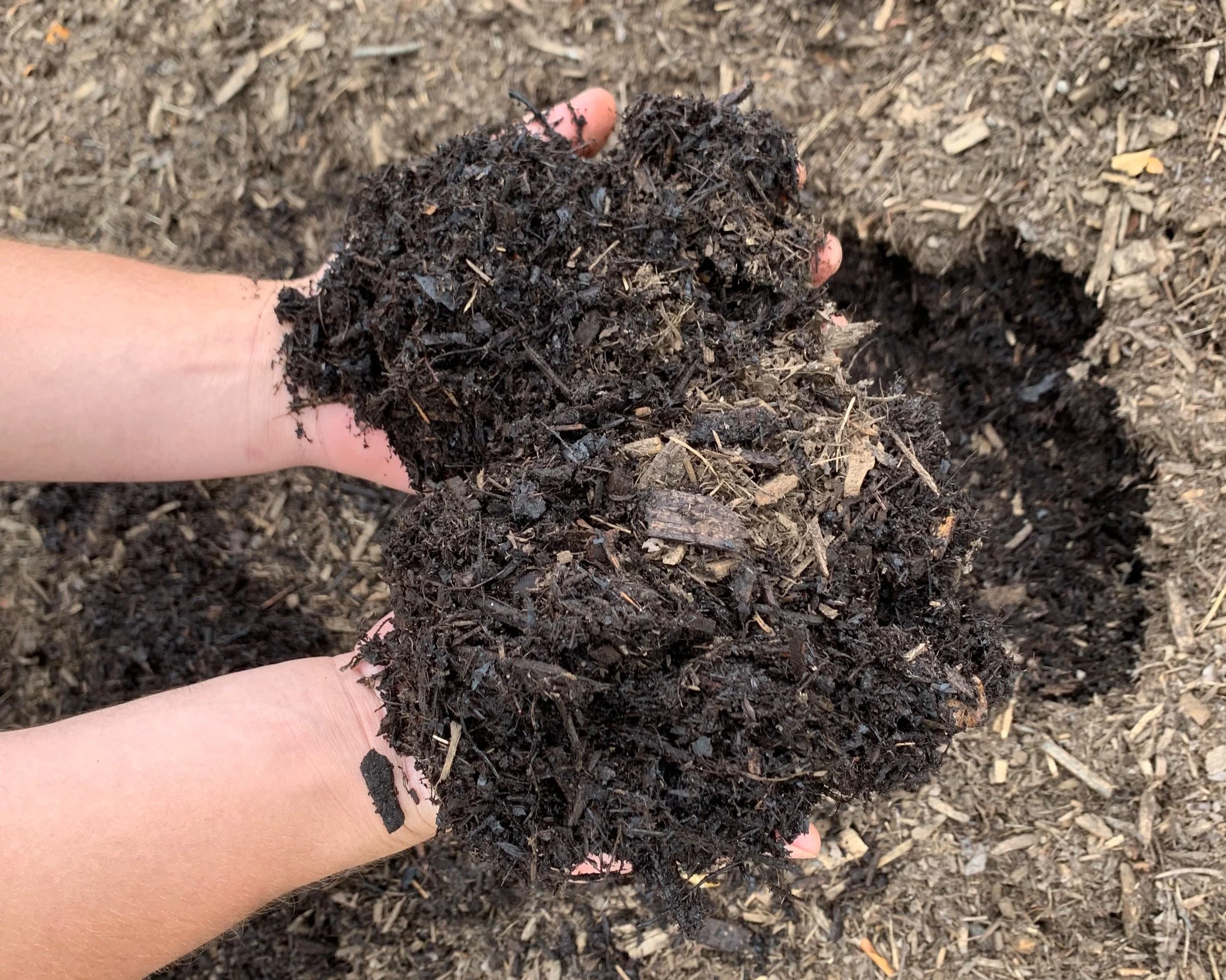 Image of Woodland mulch kidron image 10