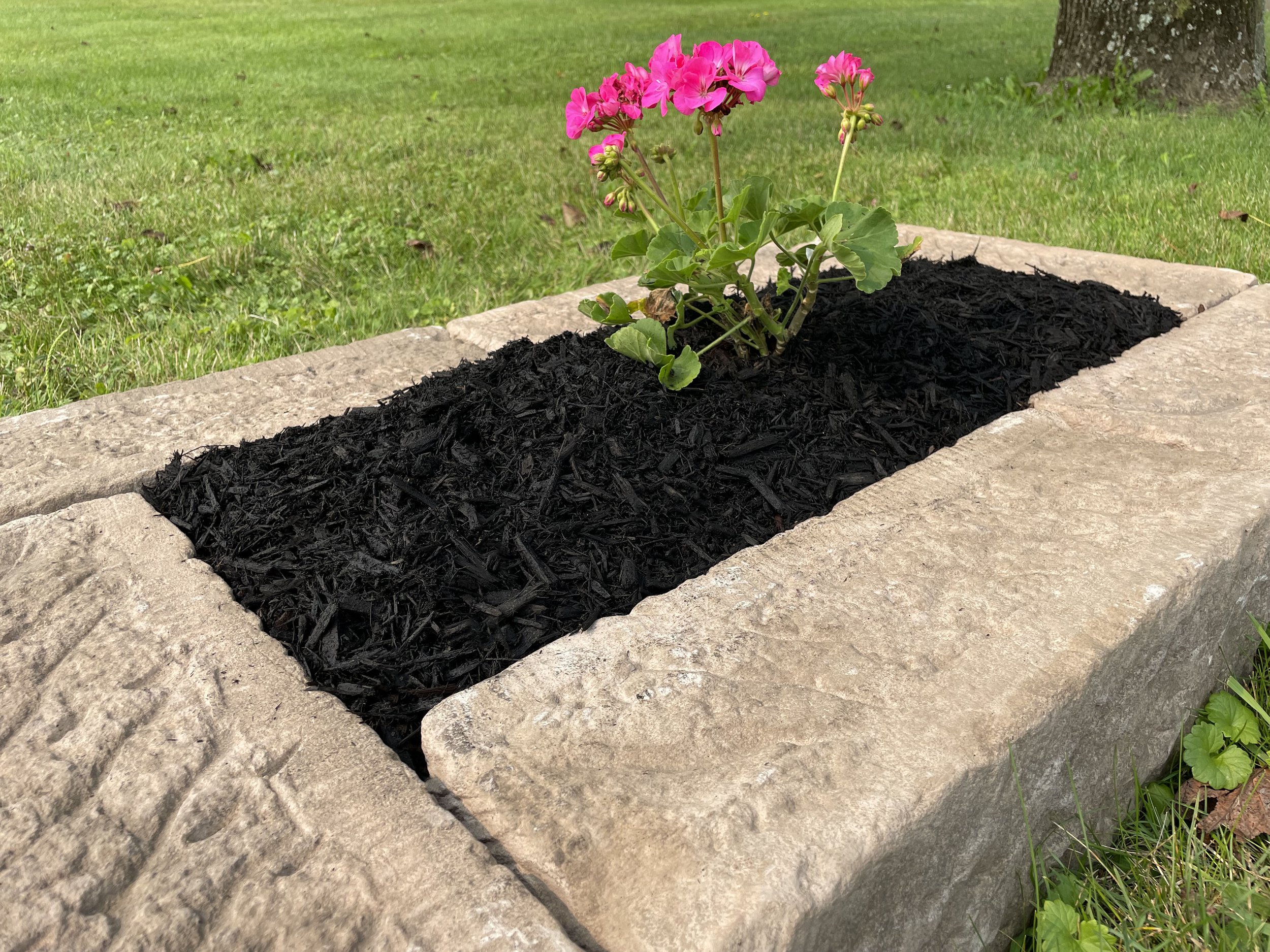 #6 Mulch.jpg